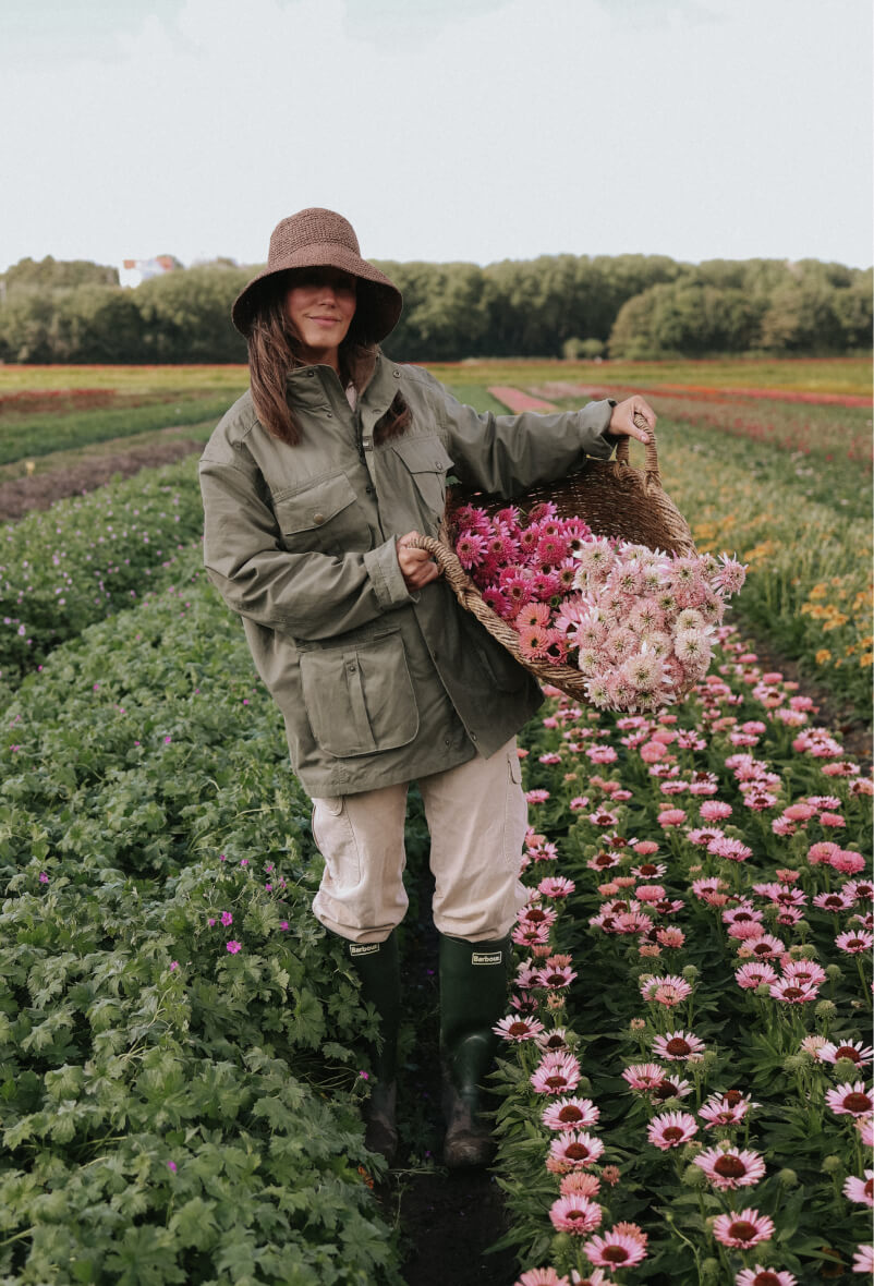 Learn how to grow Coneflower | The gardening school  Florea Garden