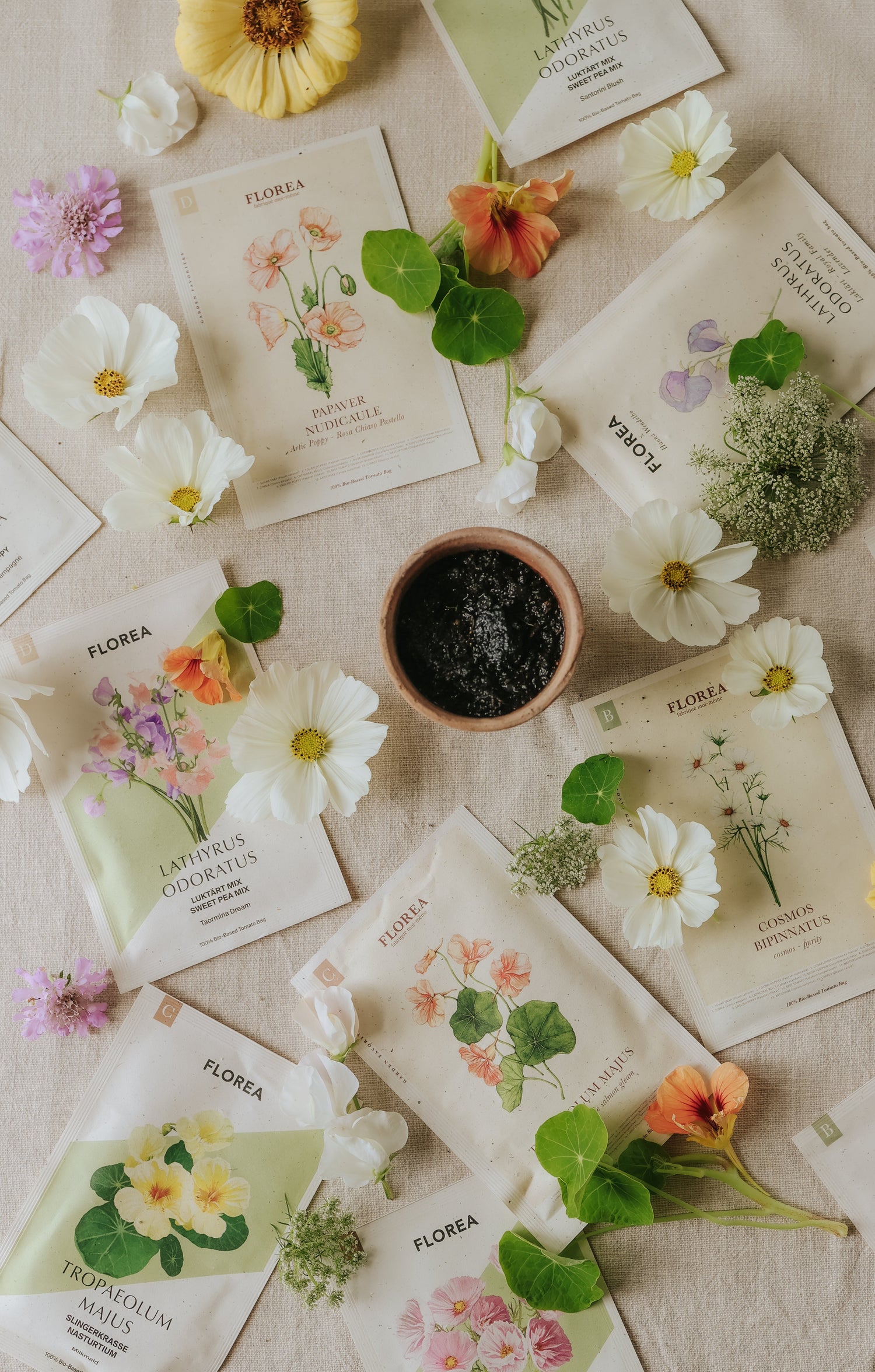 Fröer till blommor, grönsaker och kryddor