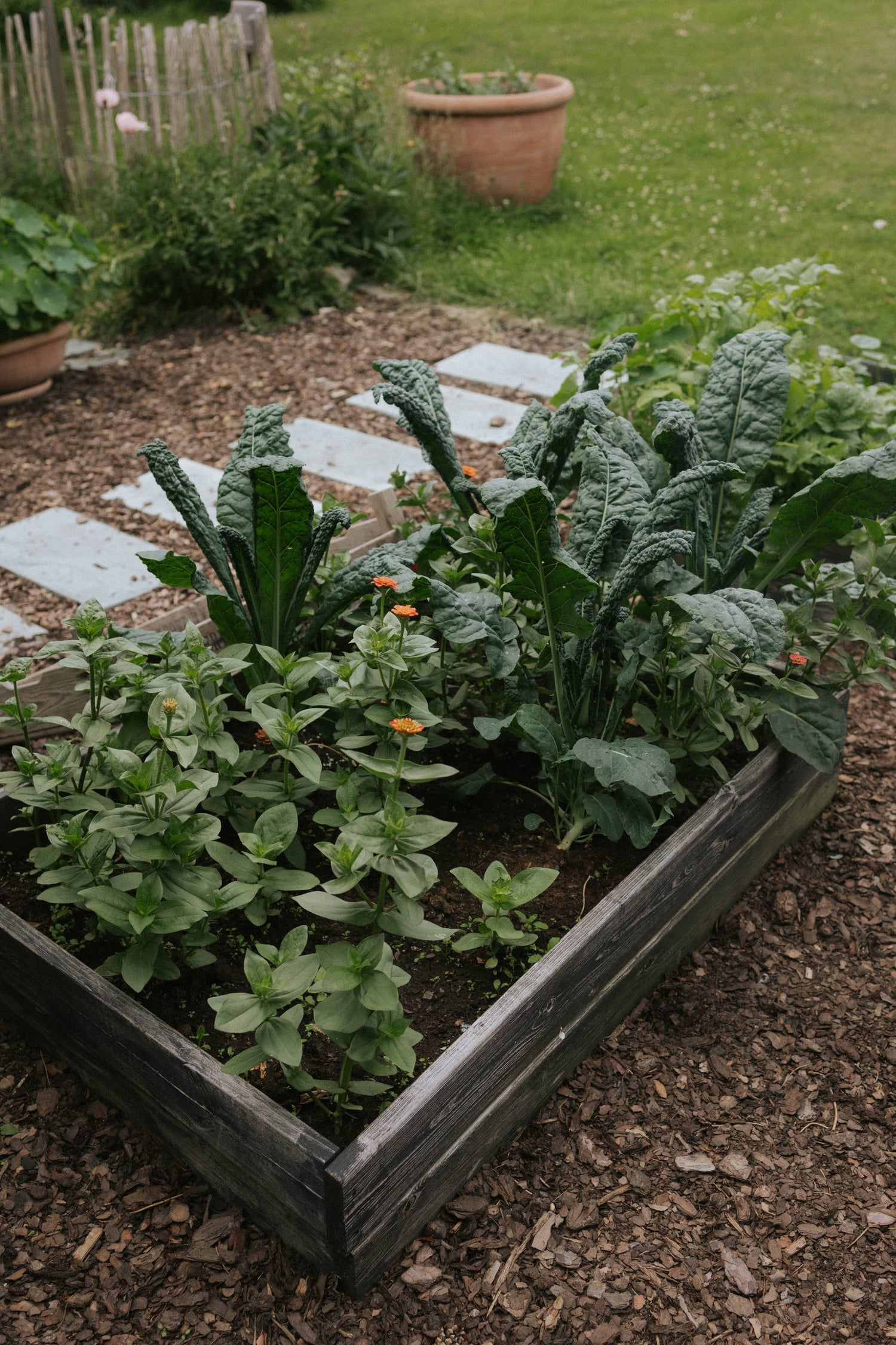 Fröer för pallkrage