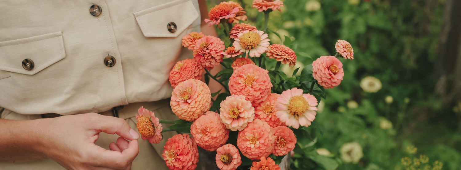 Sorter att odla i april