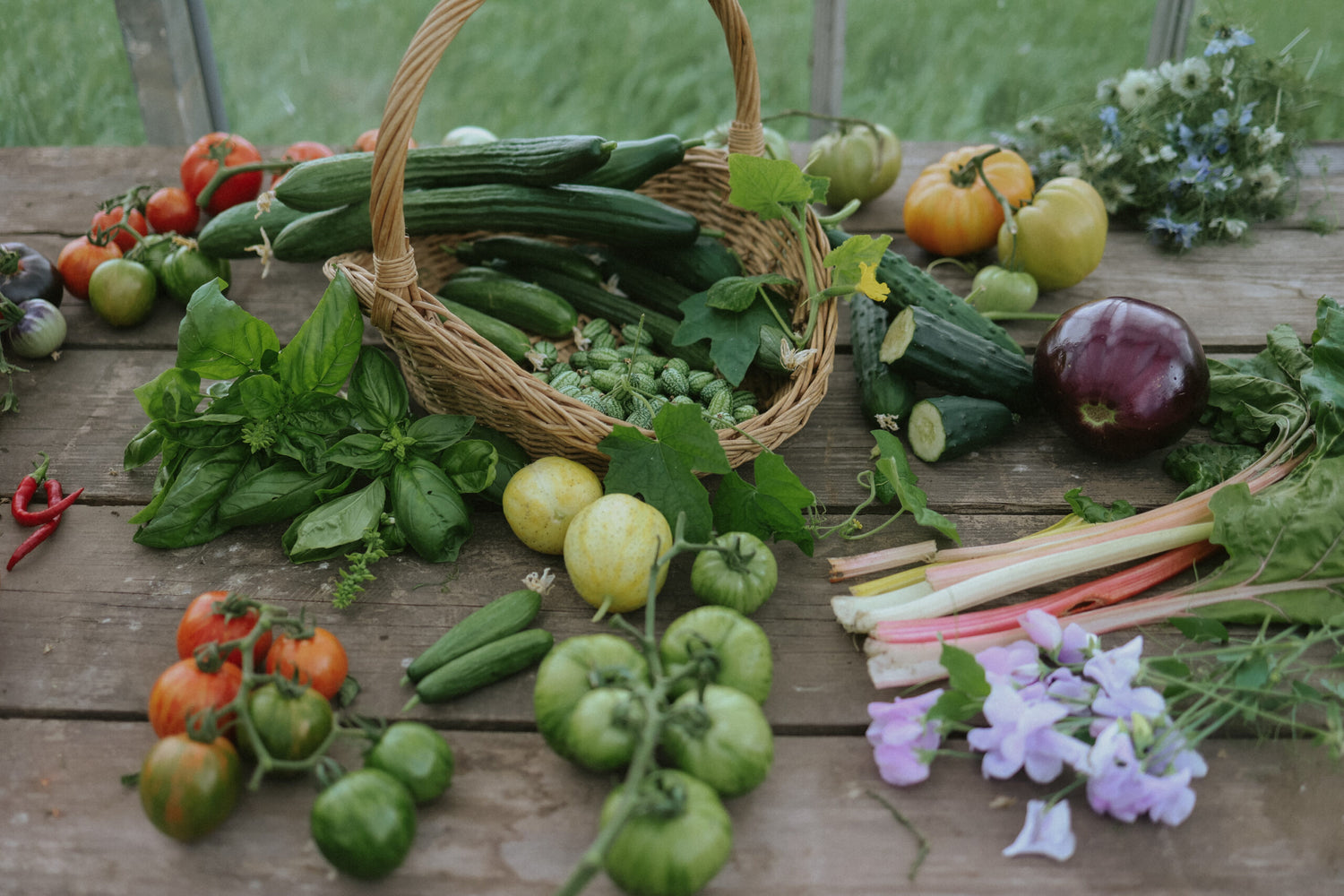 Fröer till grönsaker