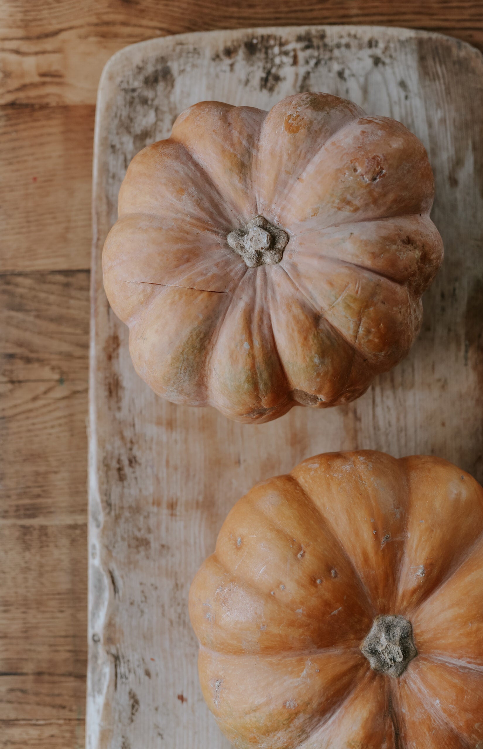 orange-gra-pumpa-musquee-de-