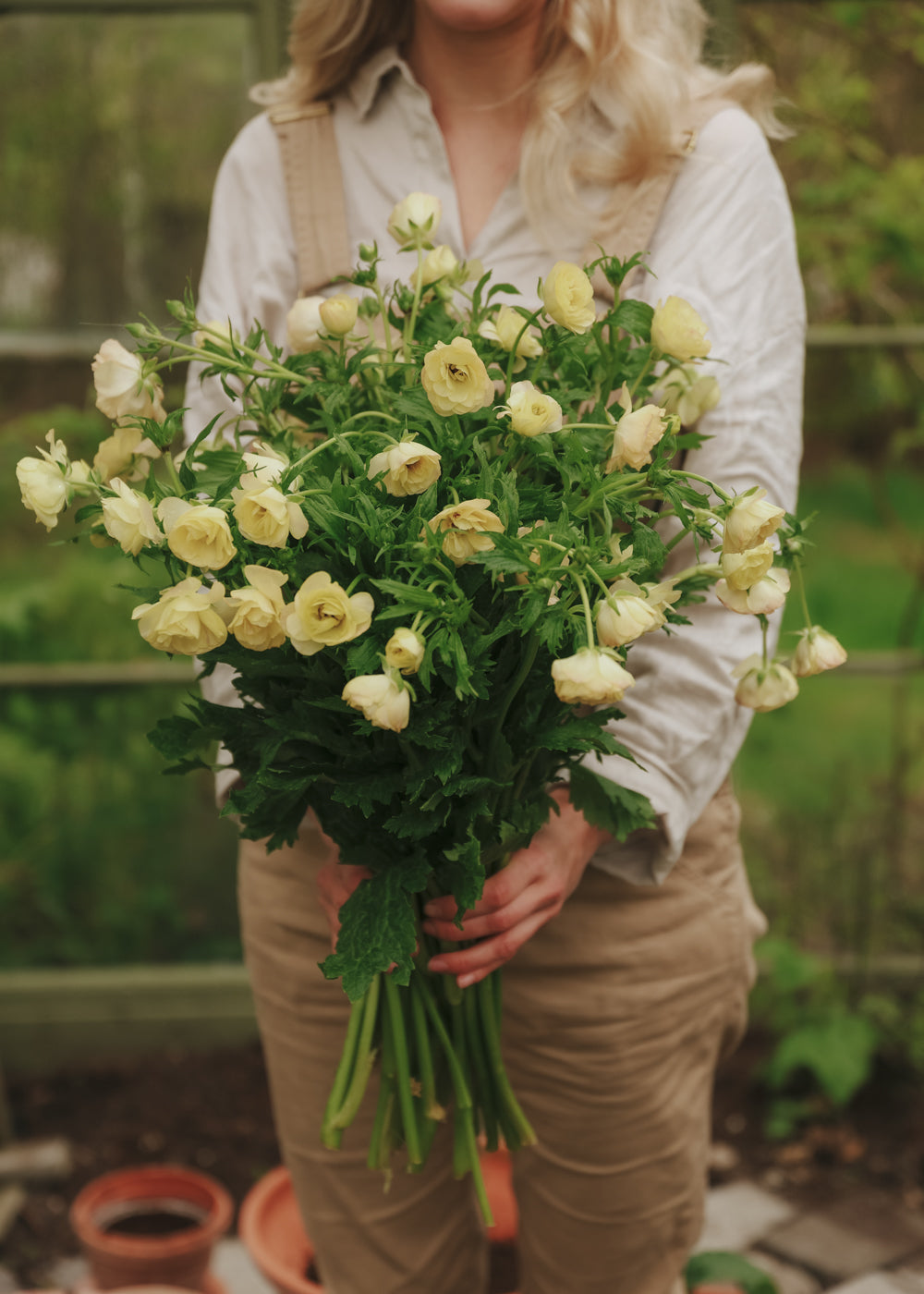 Butterfly Ranunculus – Hestia