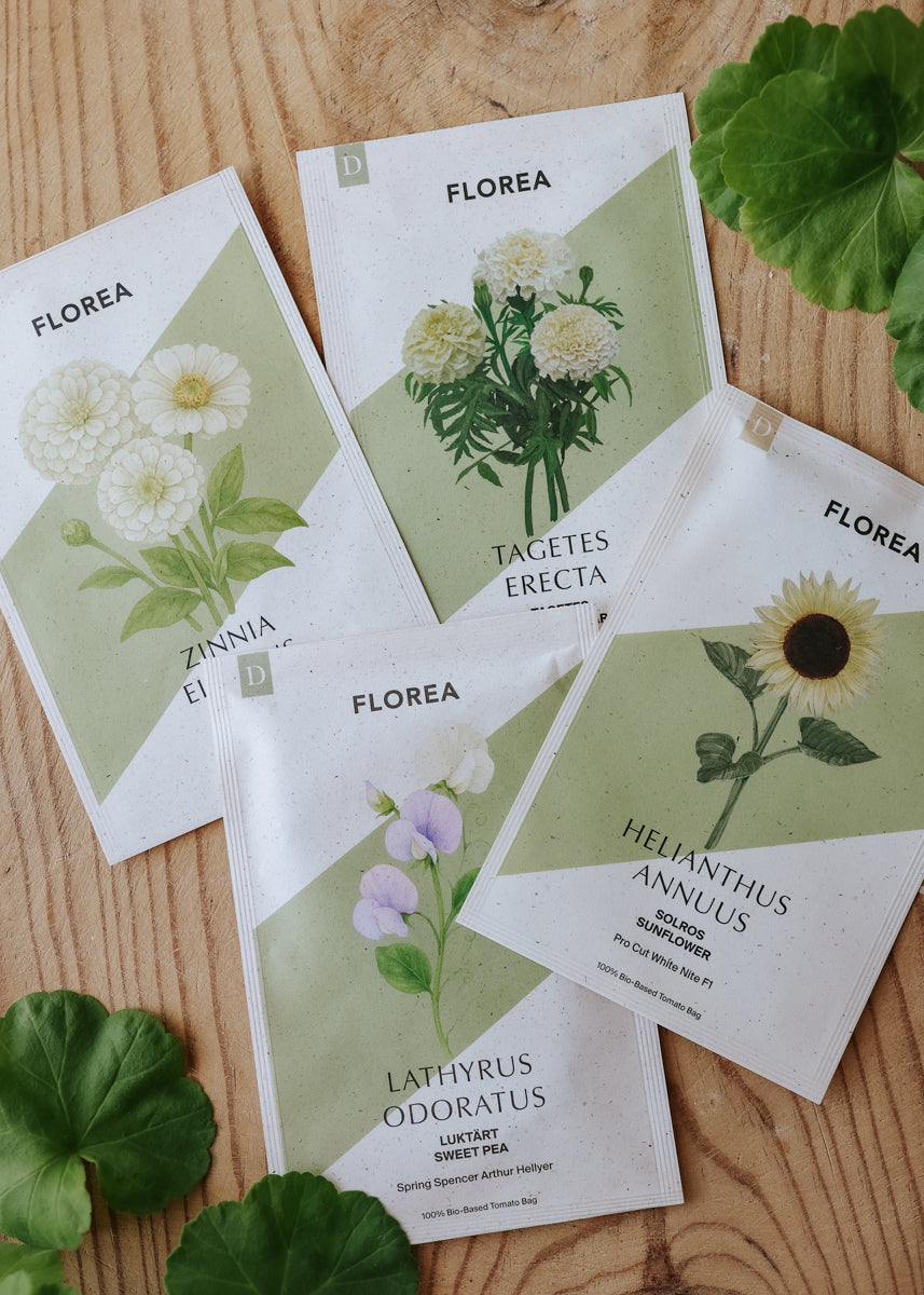 Fröpaket - Blomsterfröjd