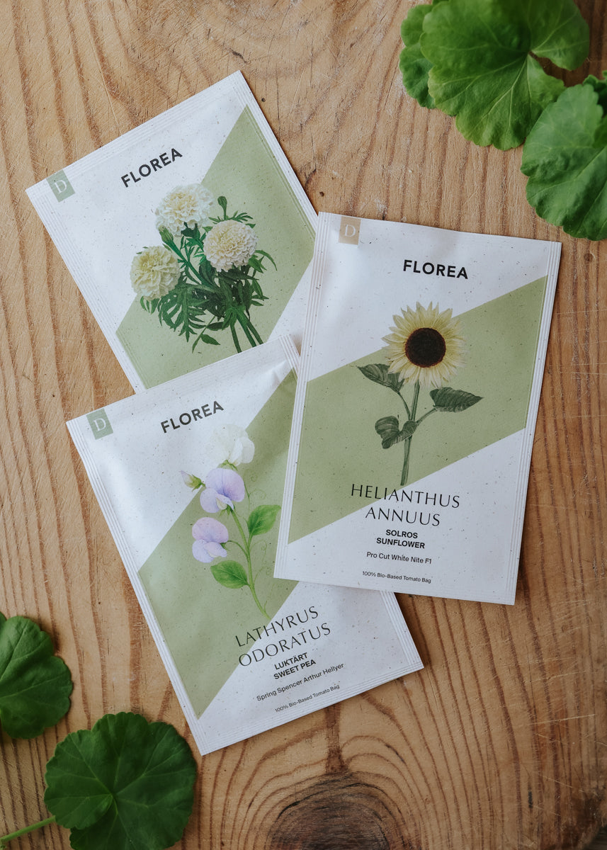 Frøpakke - Blomsterglede