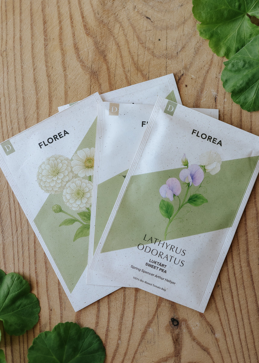 Fröpaket - Blomsterfröjd