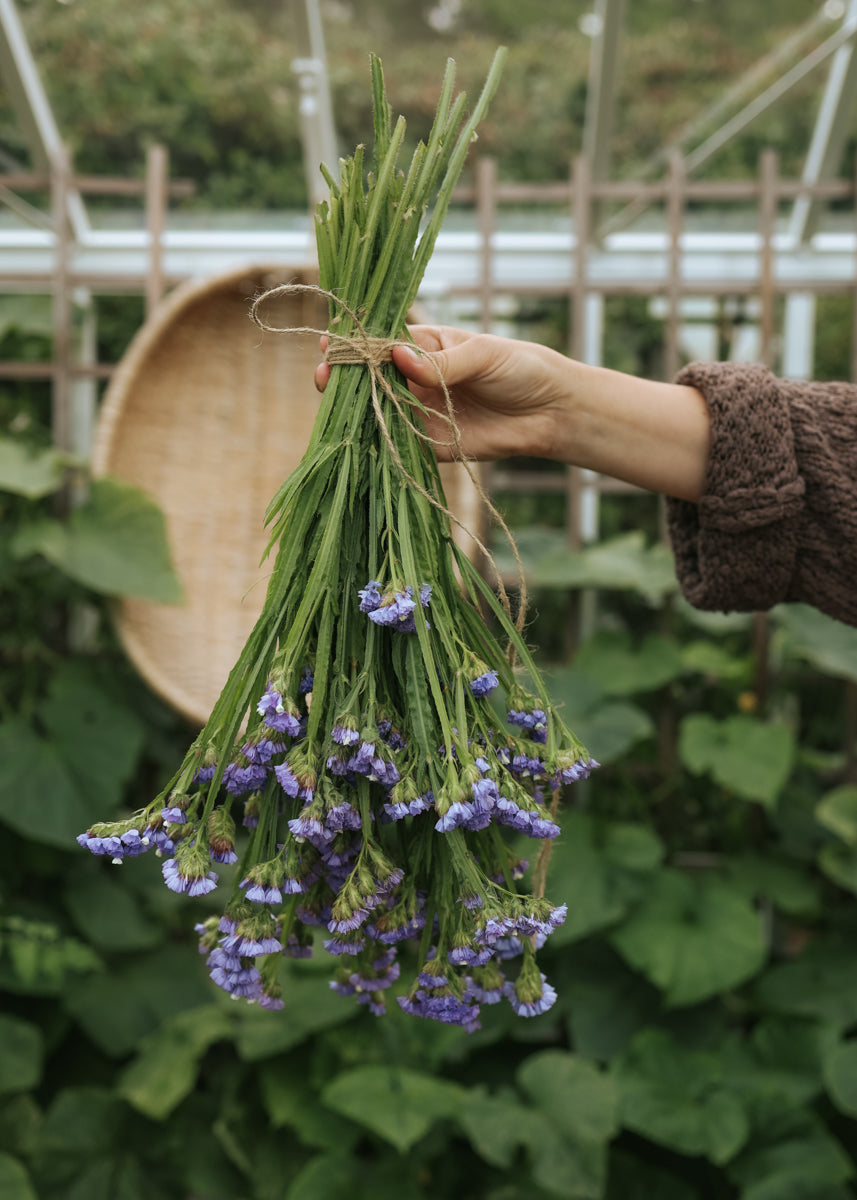 Risp - Qis Pale Blue