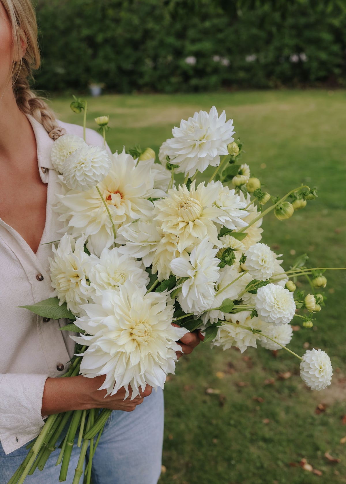 Dahlia Mix - Creamy White