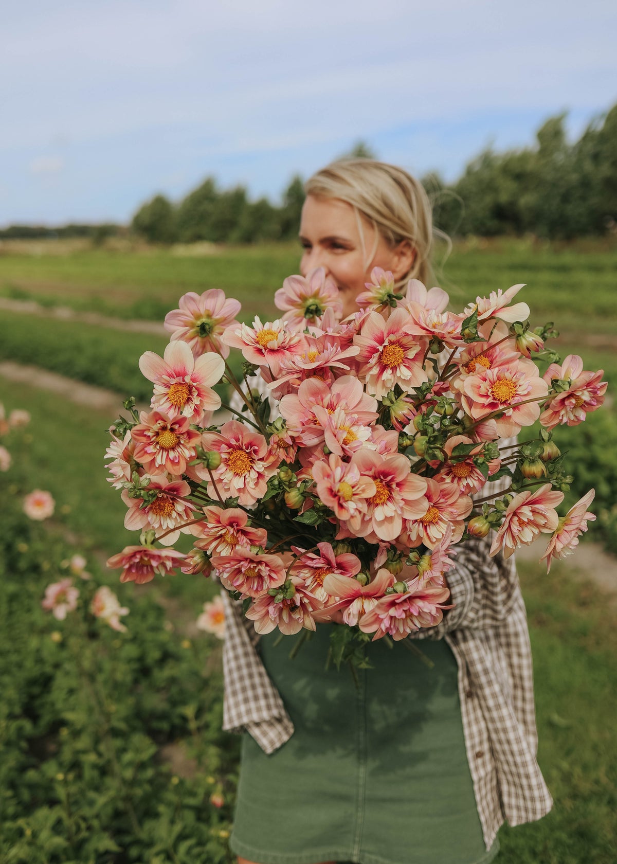 Dahlia - Rhubarb & Custard