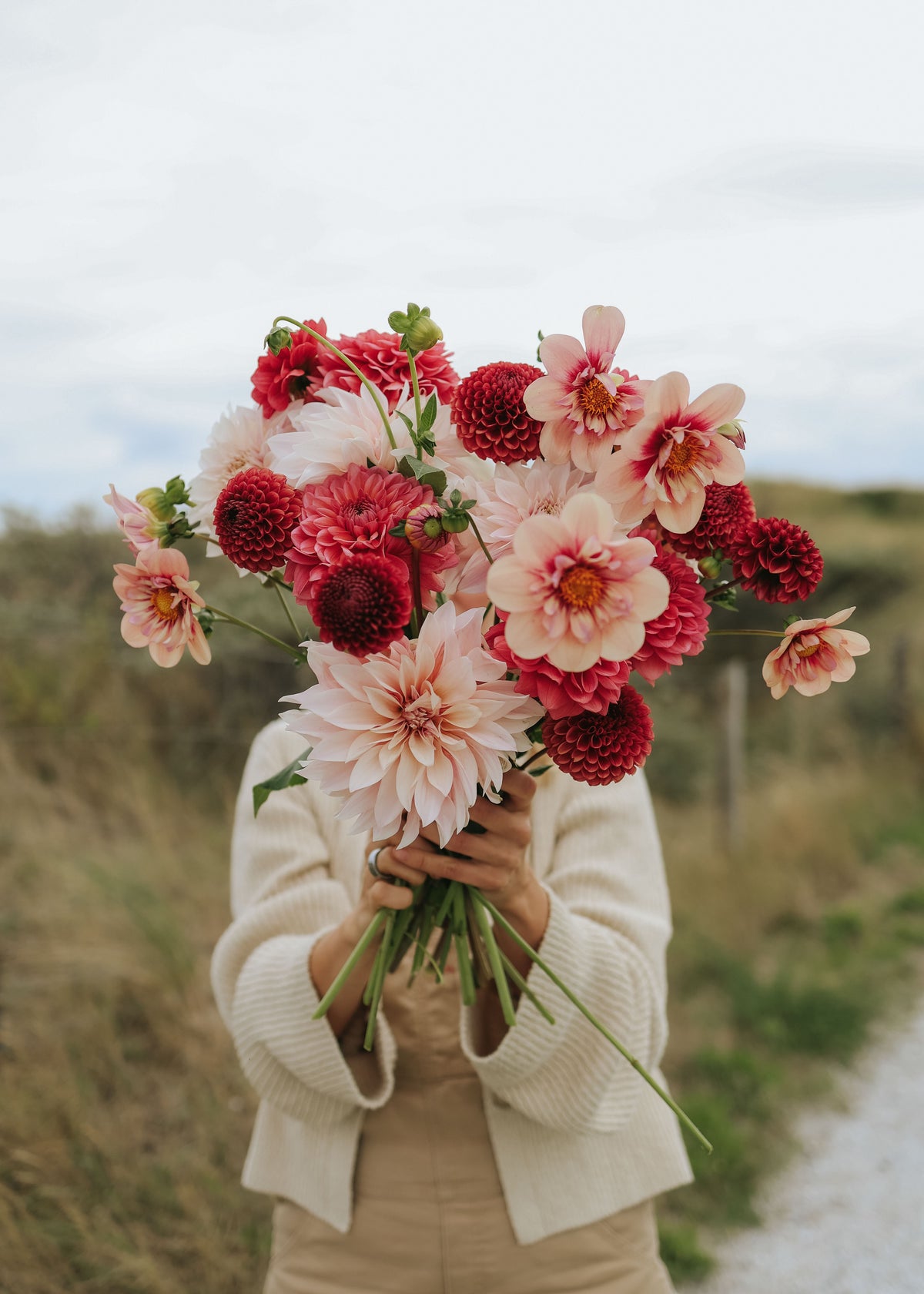 Dahliamix - Rhubarb Silk