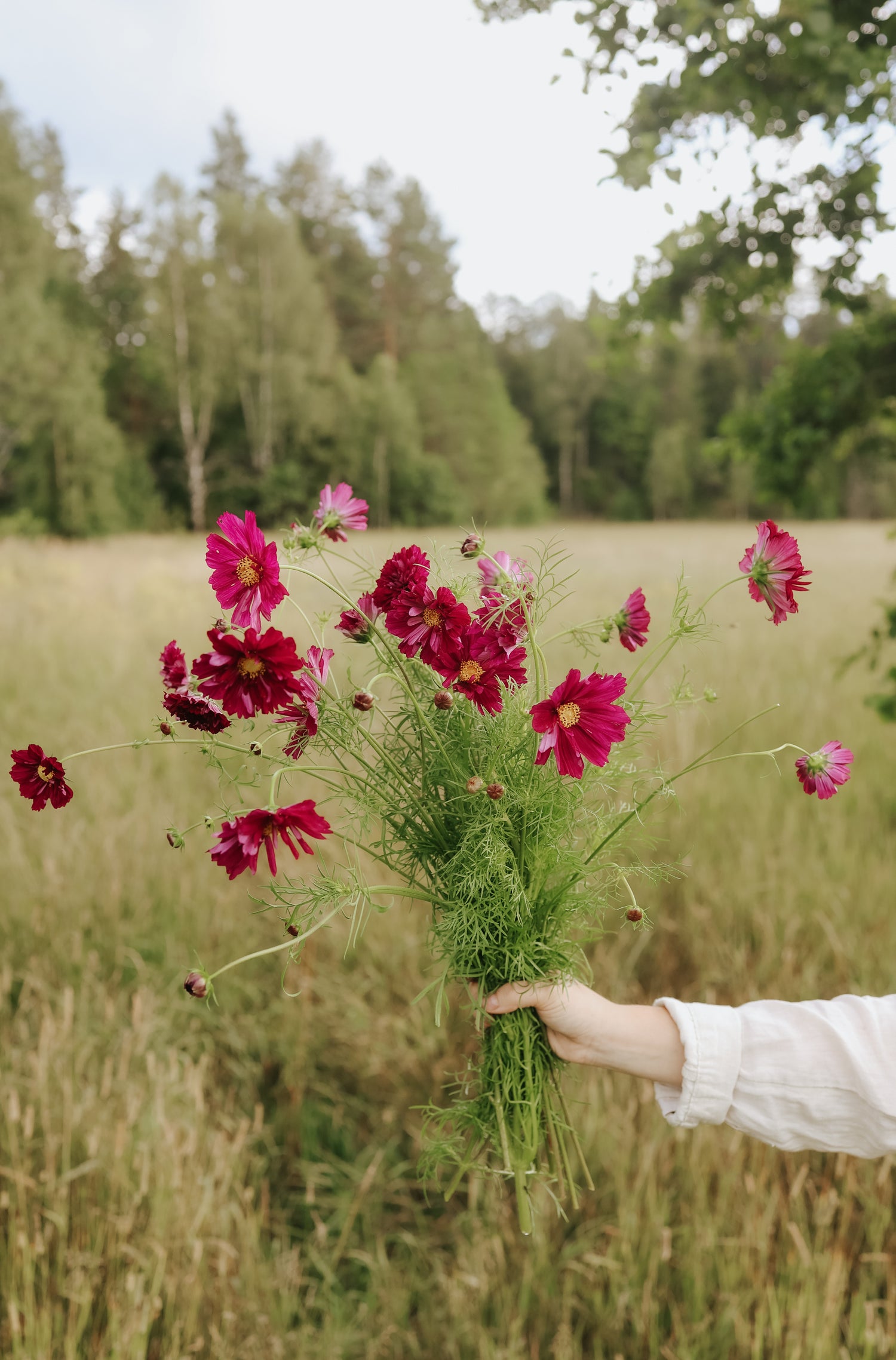 Schmuckkörbchen - Double Click Cranberries