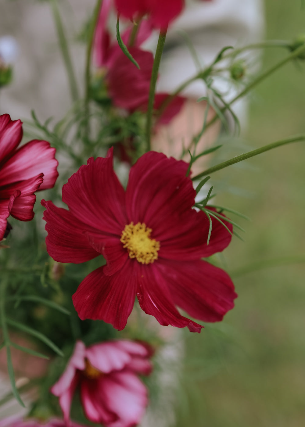 Schmuckkörbchen - Velouette