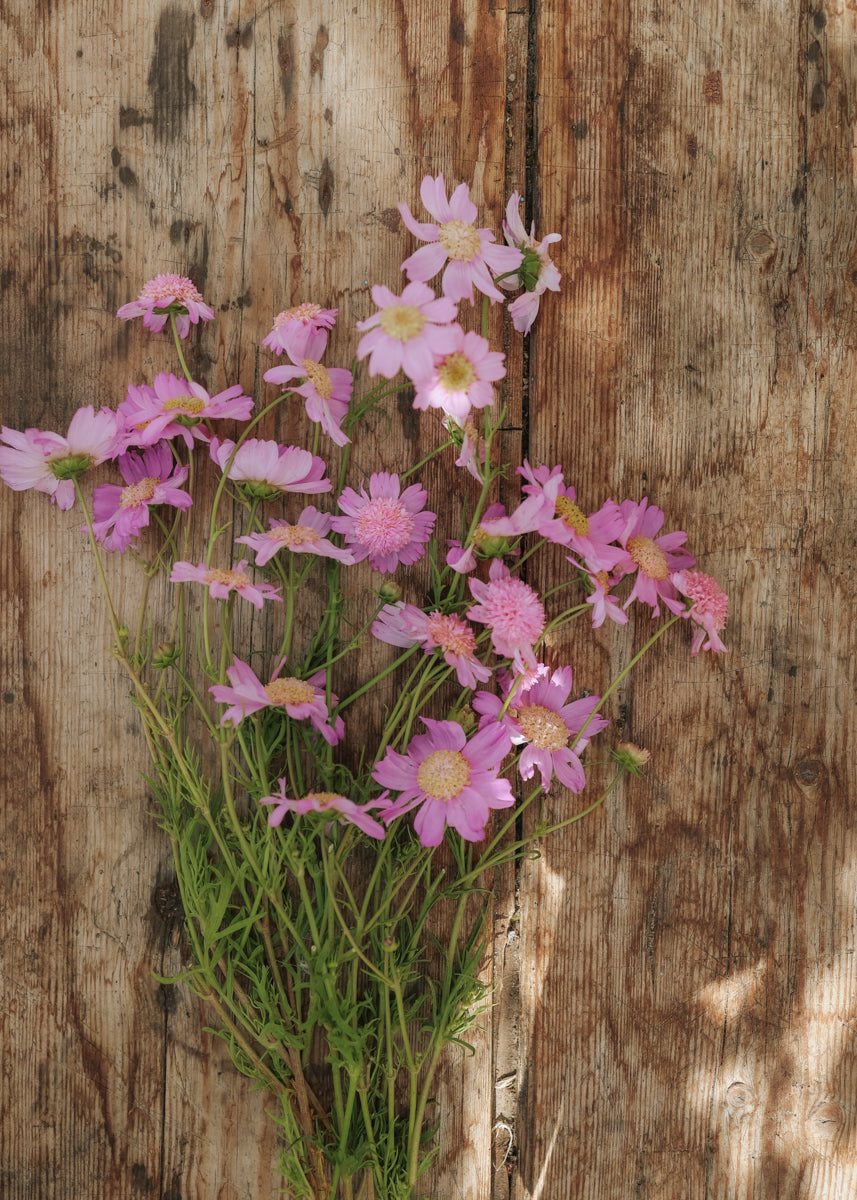 Schmuckkörbchen - Pink Popsocks