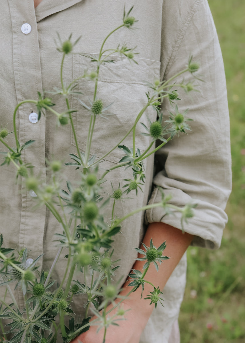 Sea Holly - White Glitter