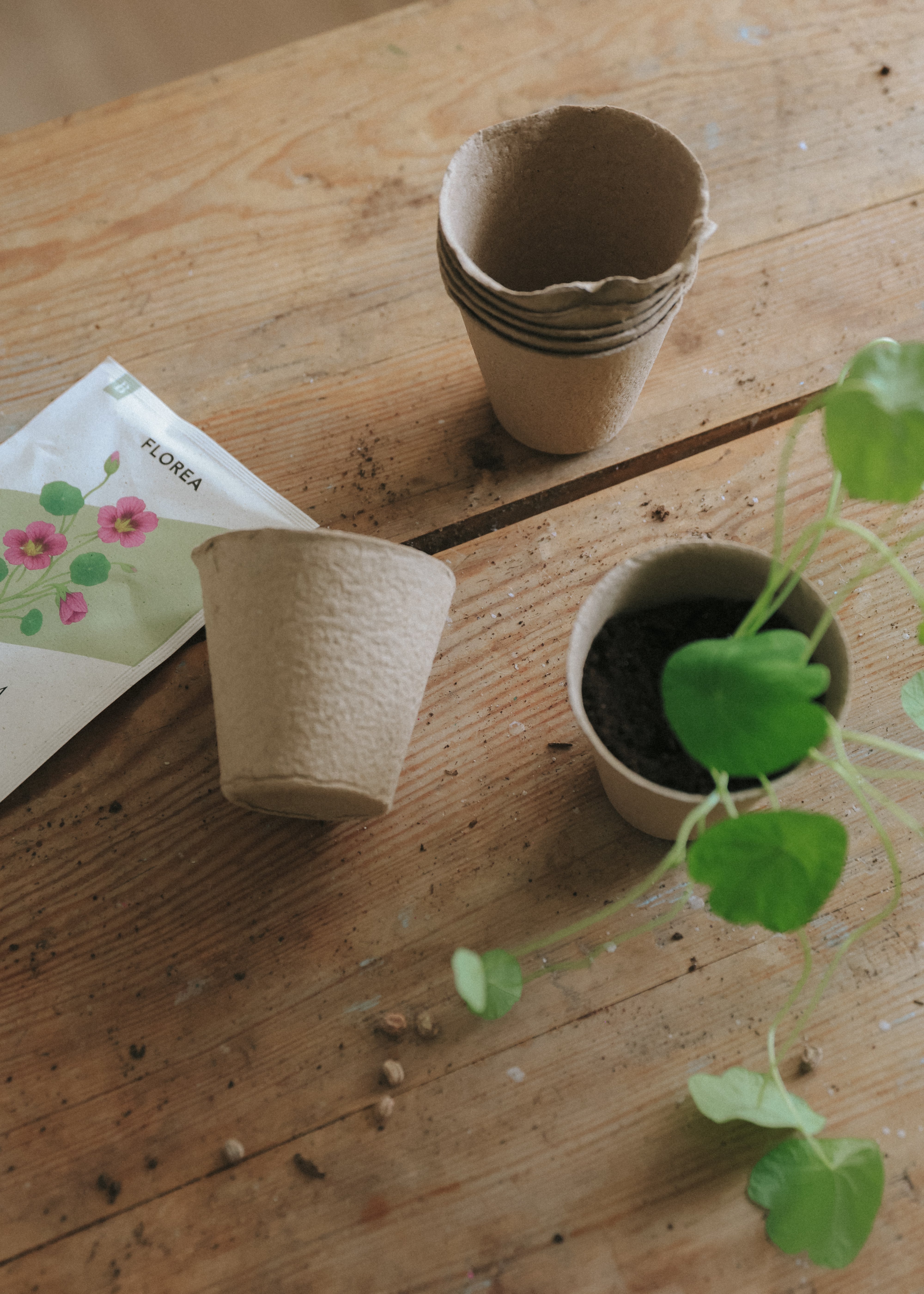 fiber pots for planting Fibre Pots – Pack of 10 – Florea Garden