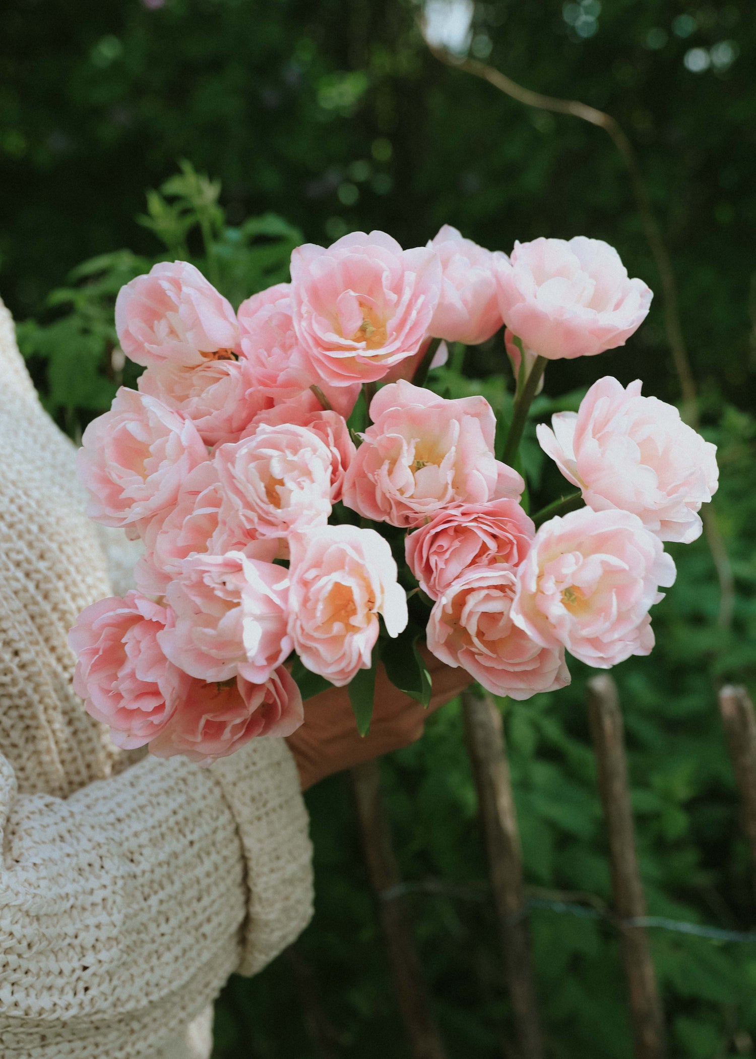 Tulip - Mariage