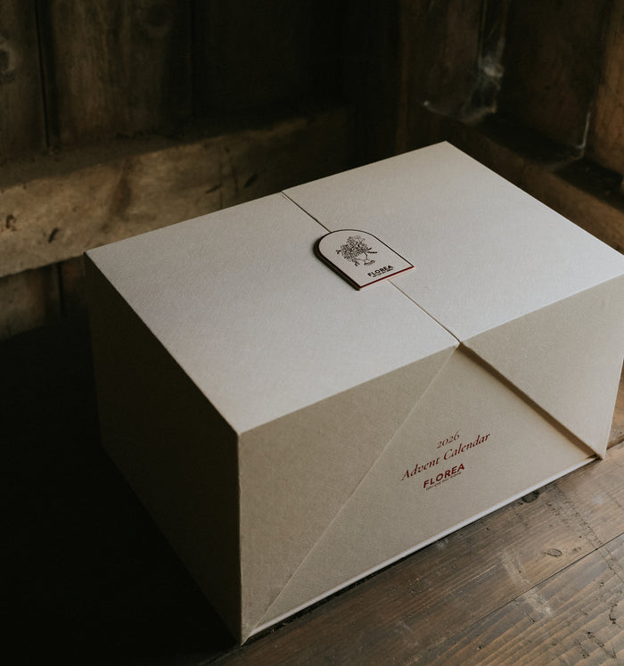 The storage box