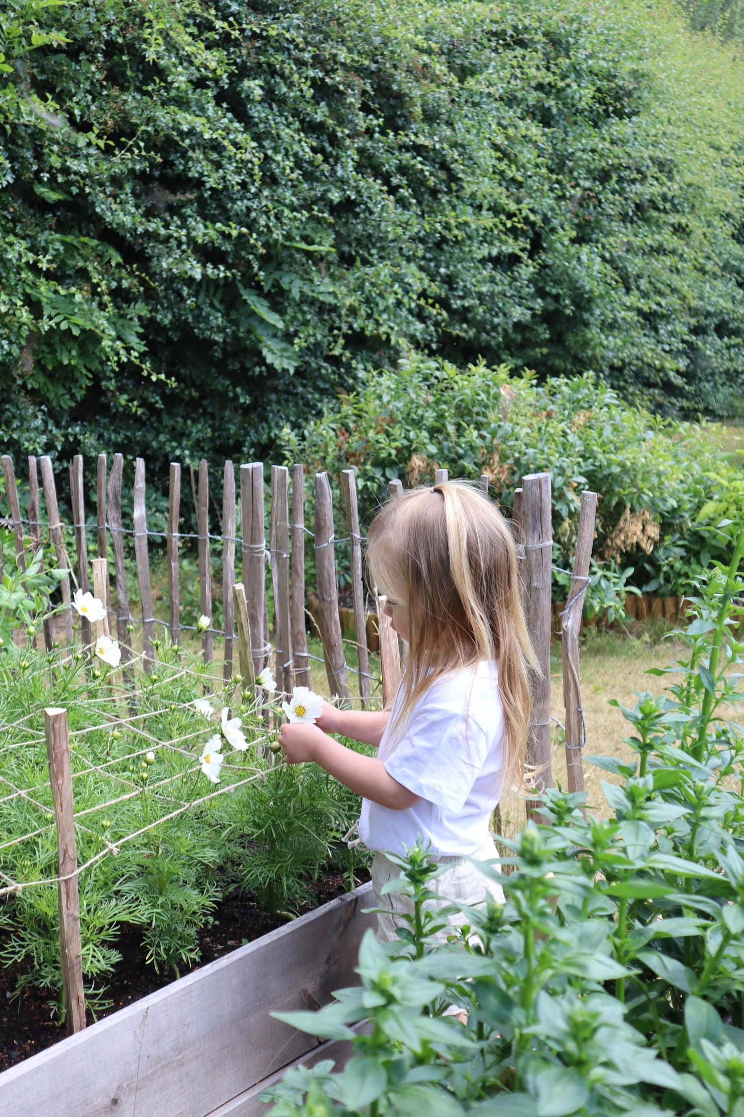 Schnittblumen-Stütznetz aus Jute – 120 × 80 cm