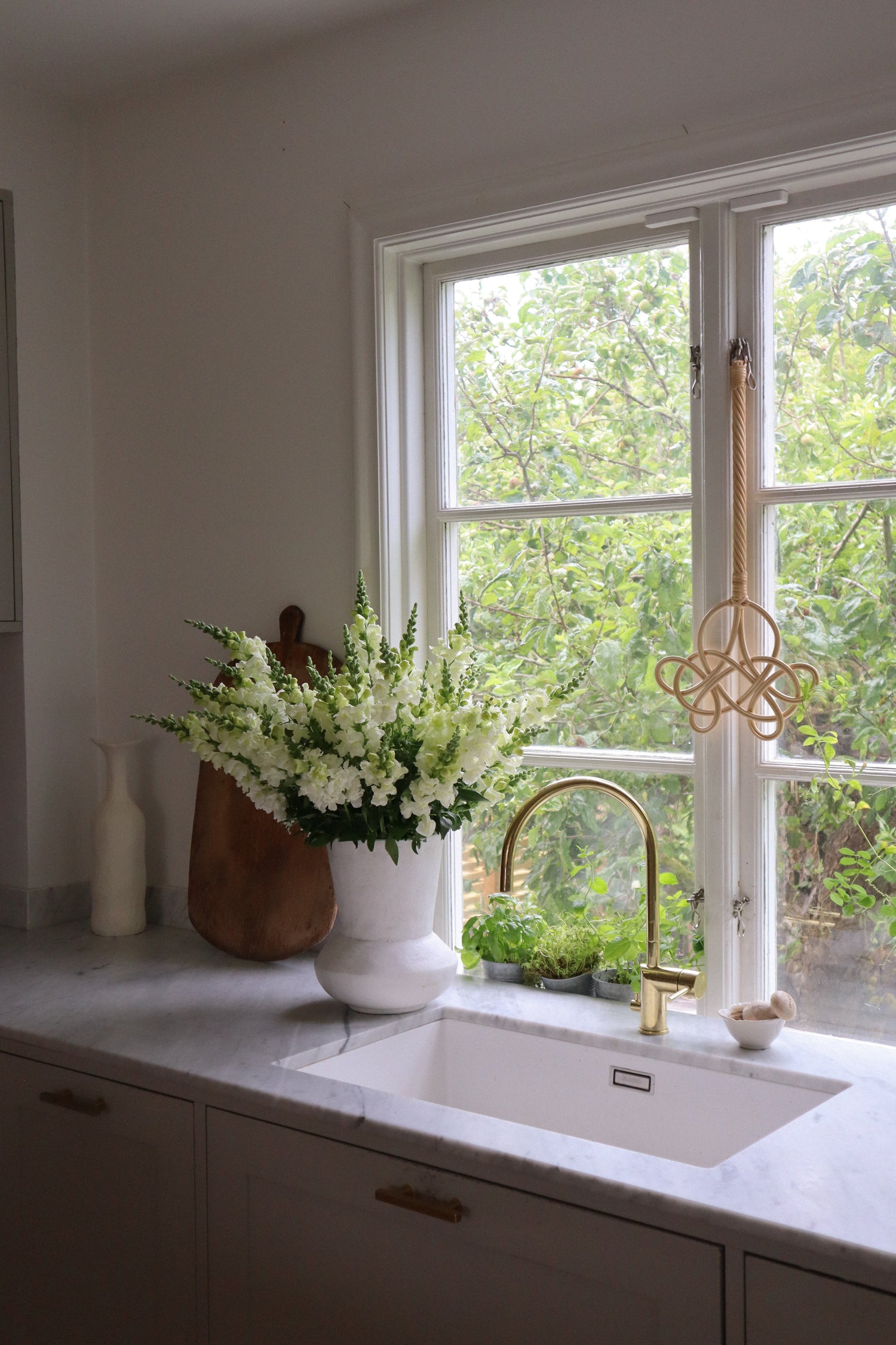 Muflier - Potomac Ivory White