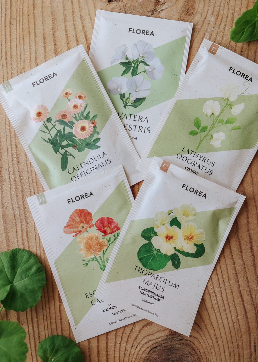 Samenpaket - Blumen für den unkomplizierten Anbau