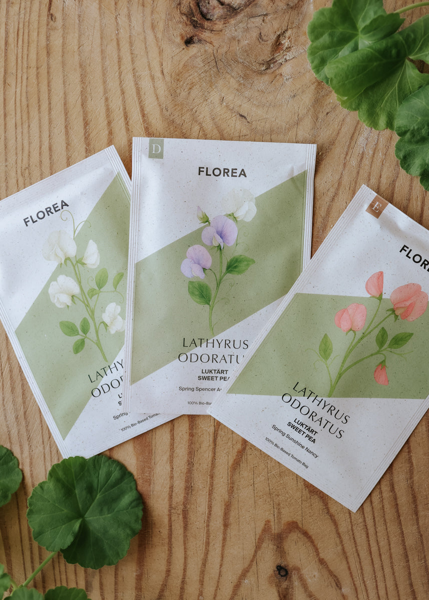 Fröpaket - Luktärtsbonanza