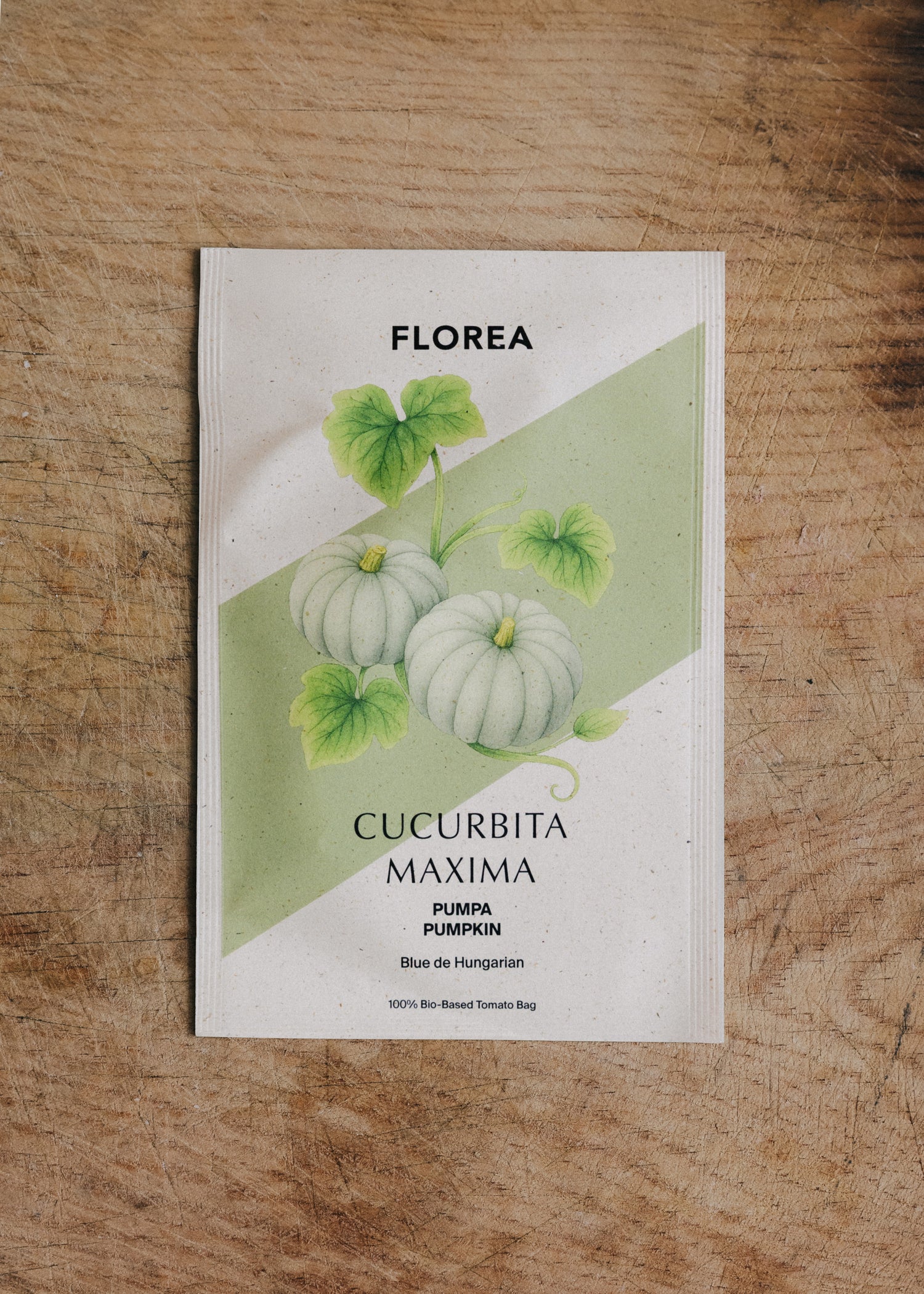 Kürbis - Blue de Hungarian