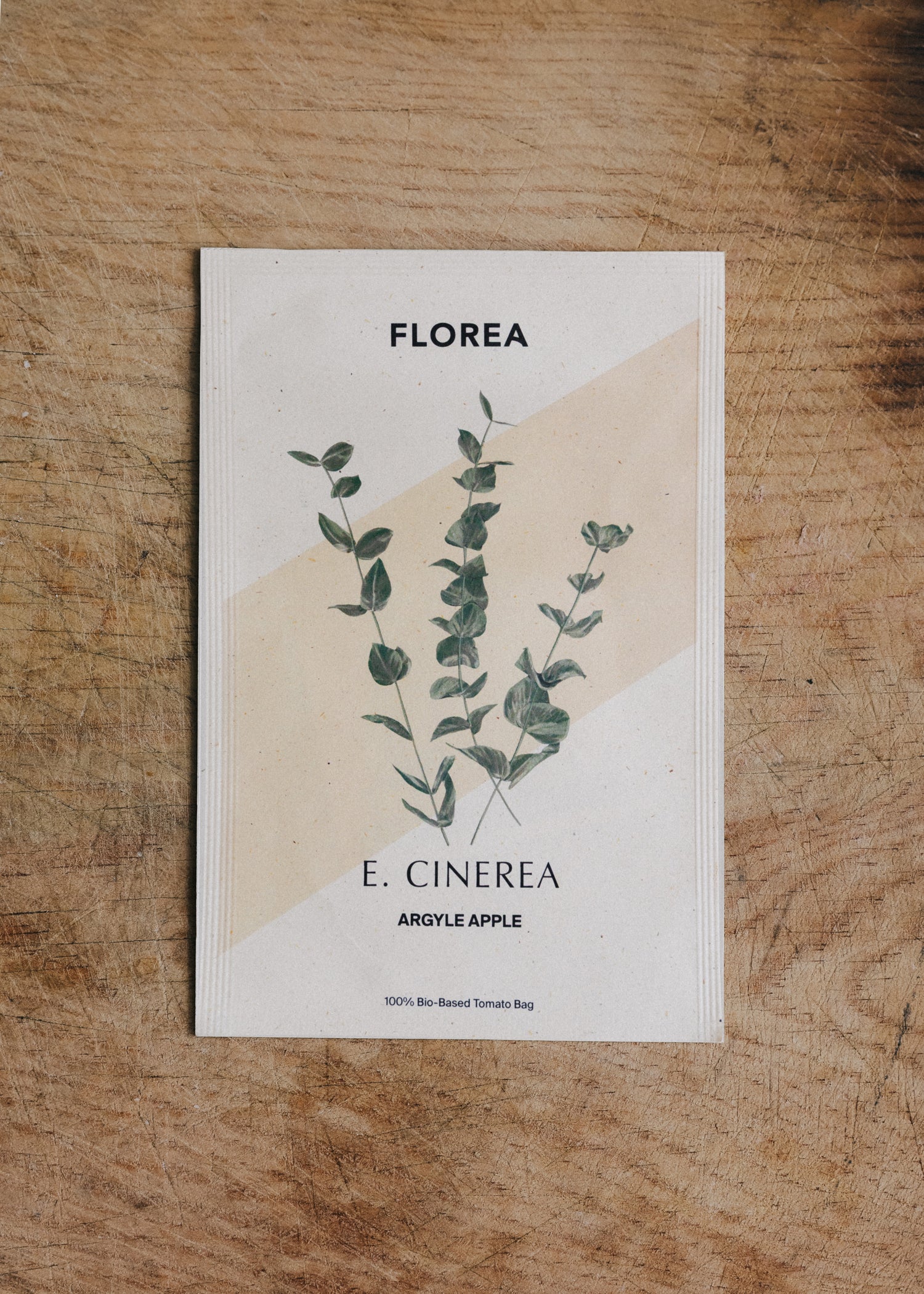 Eucalyptus - Cinerea