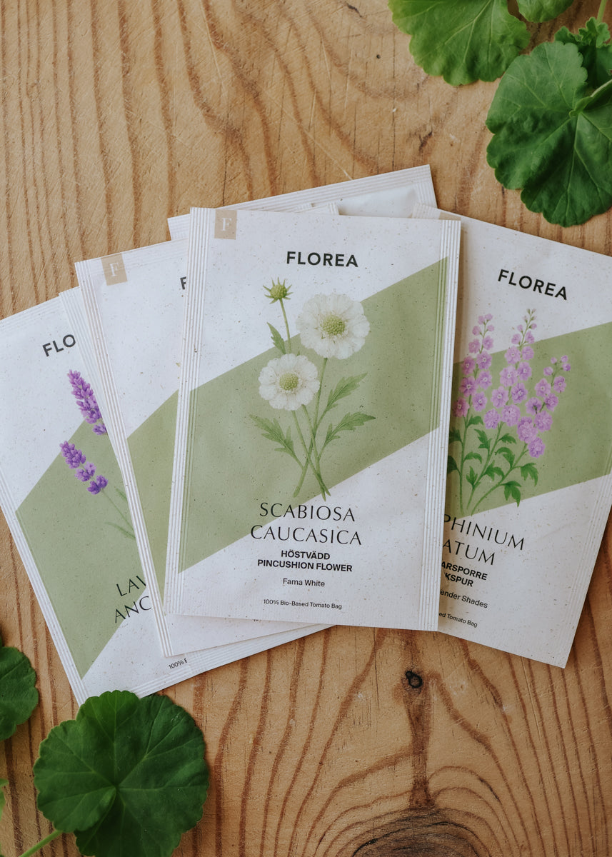 Samenpaket - Staudenbeet