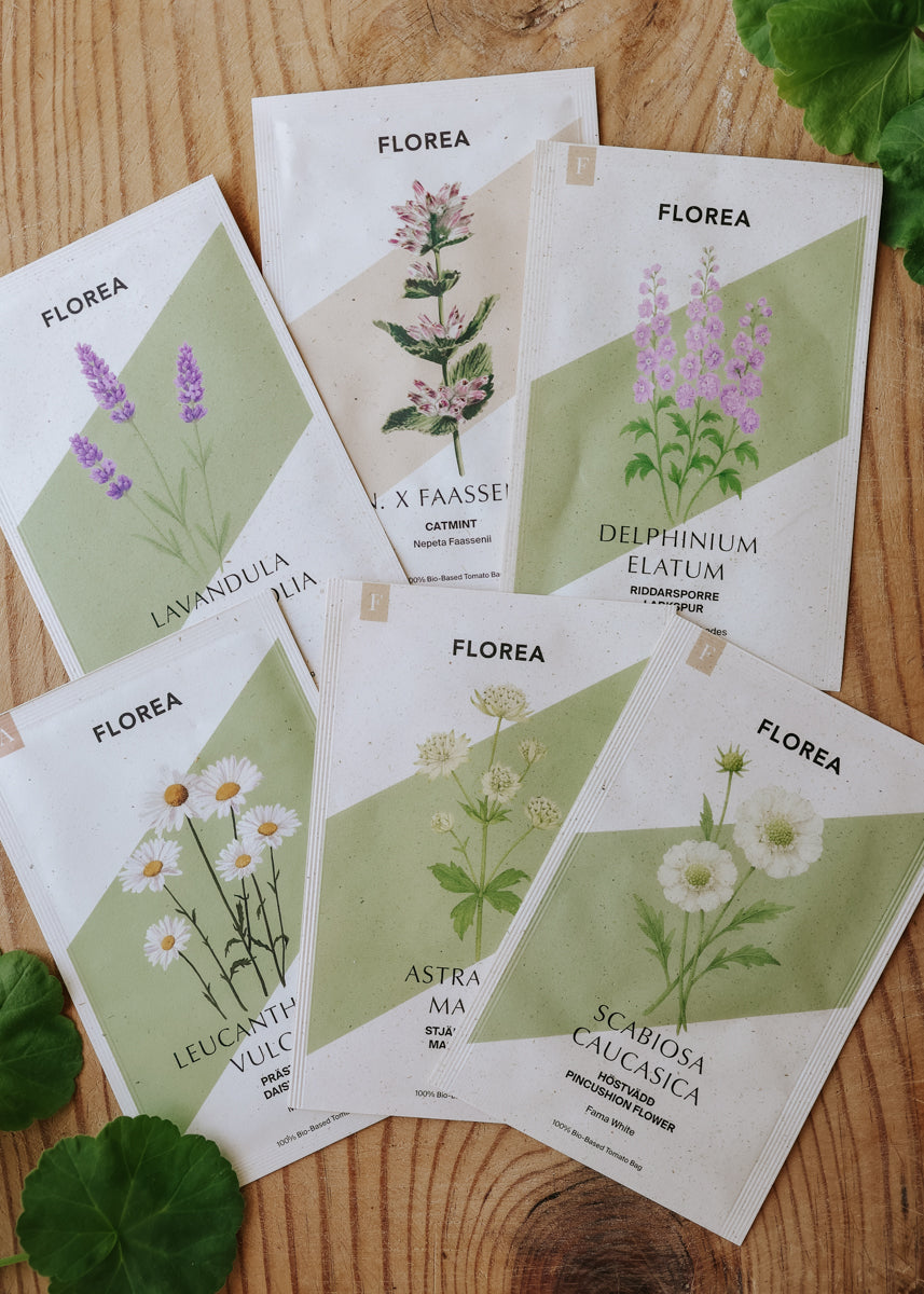 Fröpaket - Perennrabatten