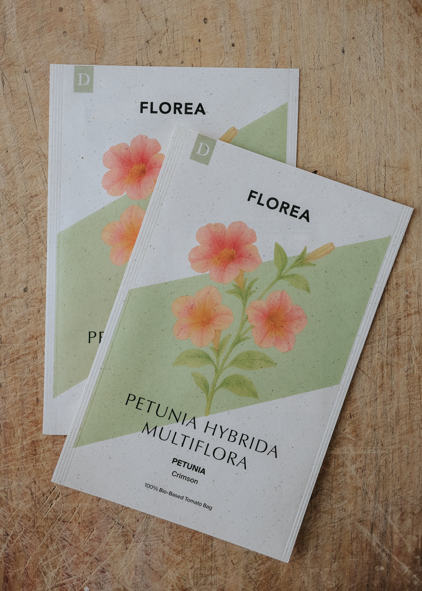 Petunia - Pastel Crimson