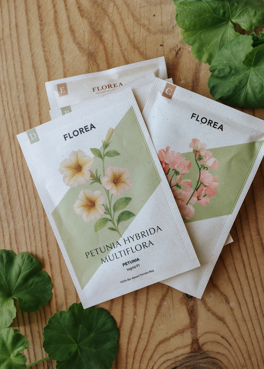 Fröpaket - Plantera i kruka