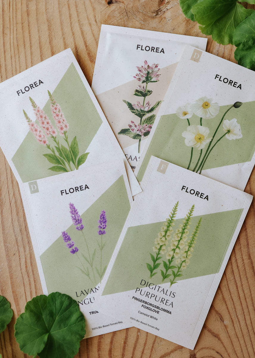 deer resistant flower seeds Seed kit - Deer-resistant