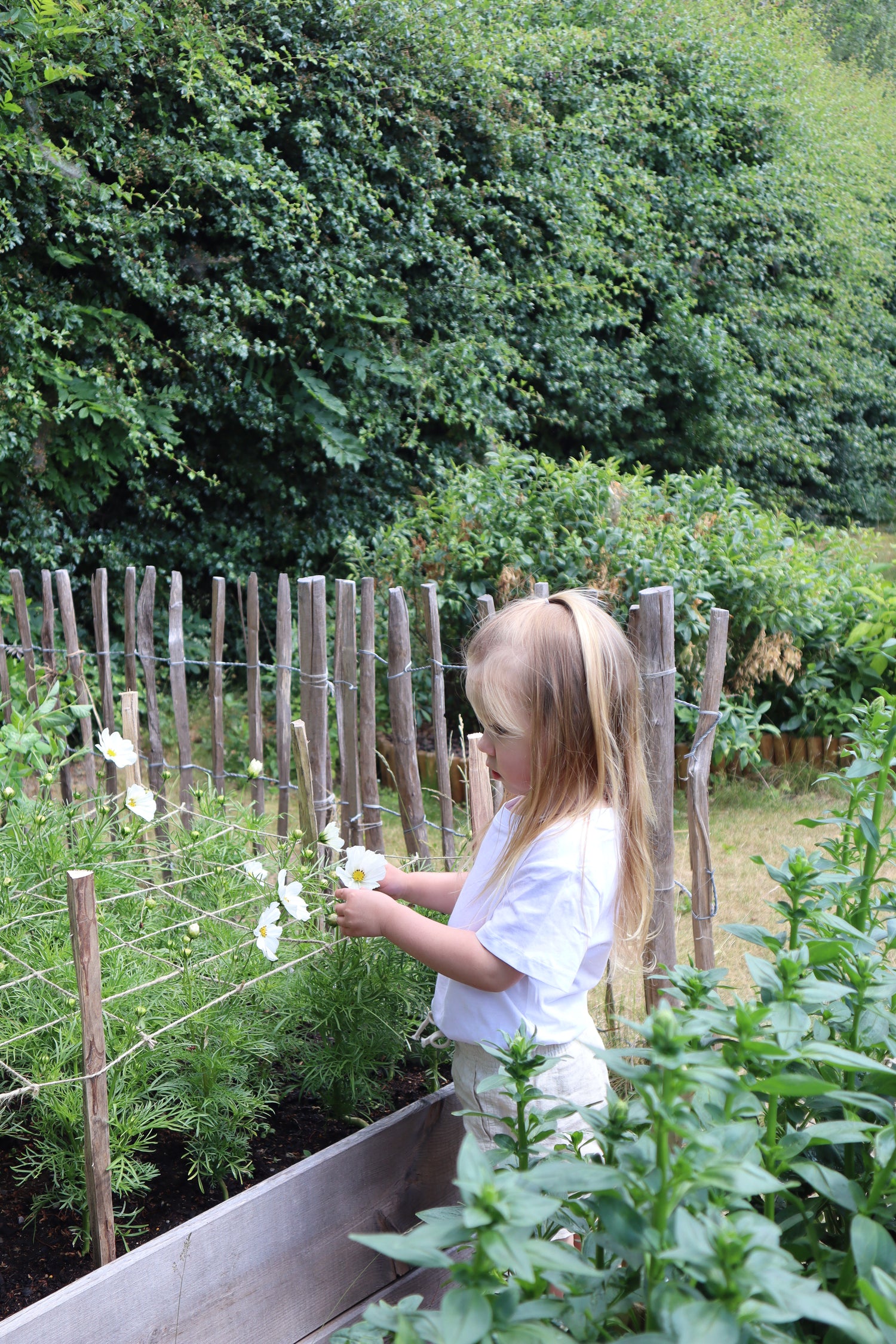 Schnittblumen-Stütznetz aus Jute – 120 × 80 cm