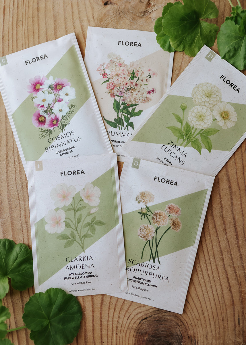 Seed pack – Cut flowers