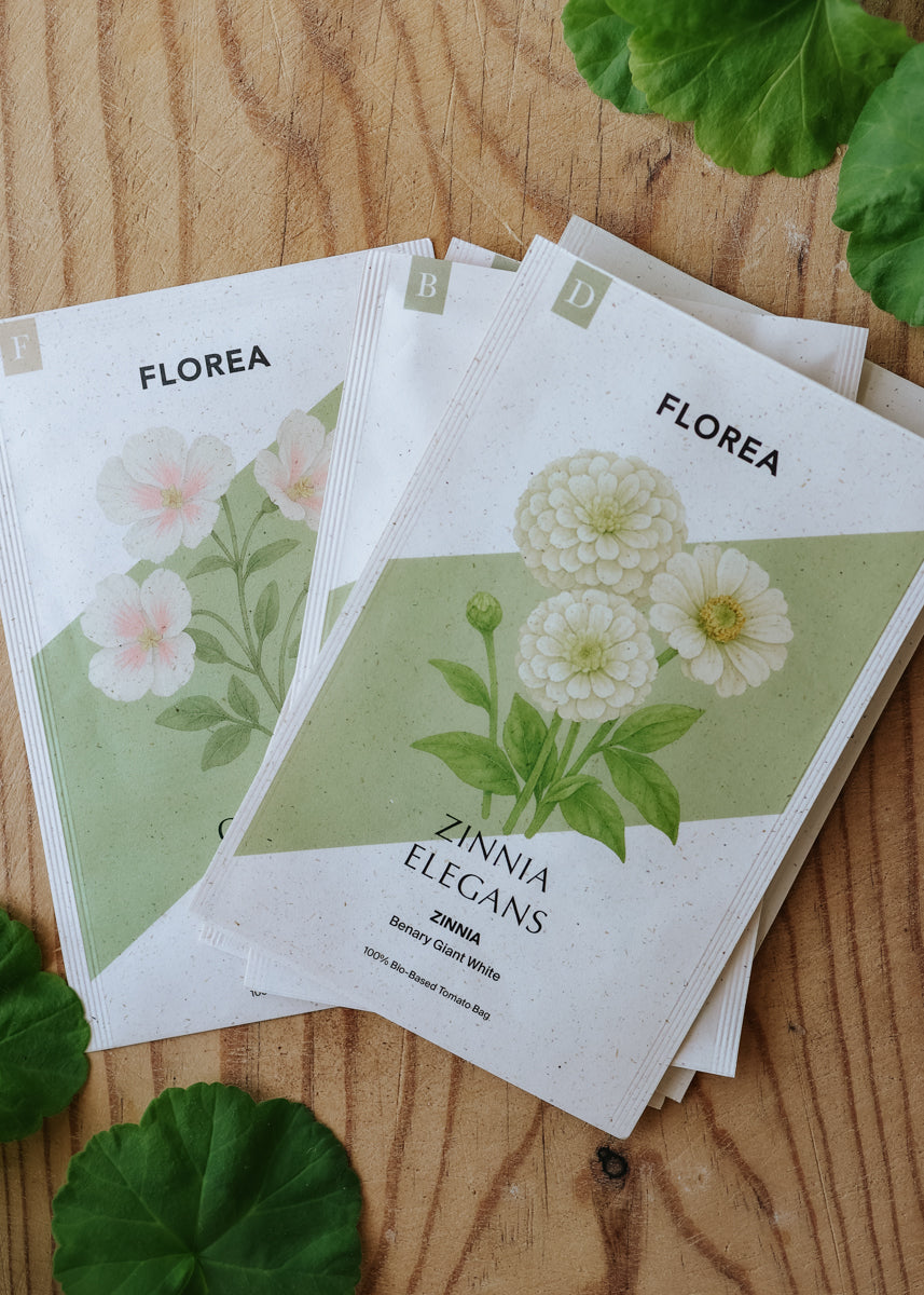 Fröpaket - Snittblomsodling