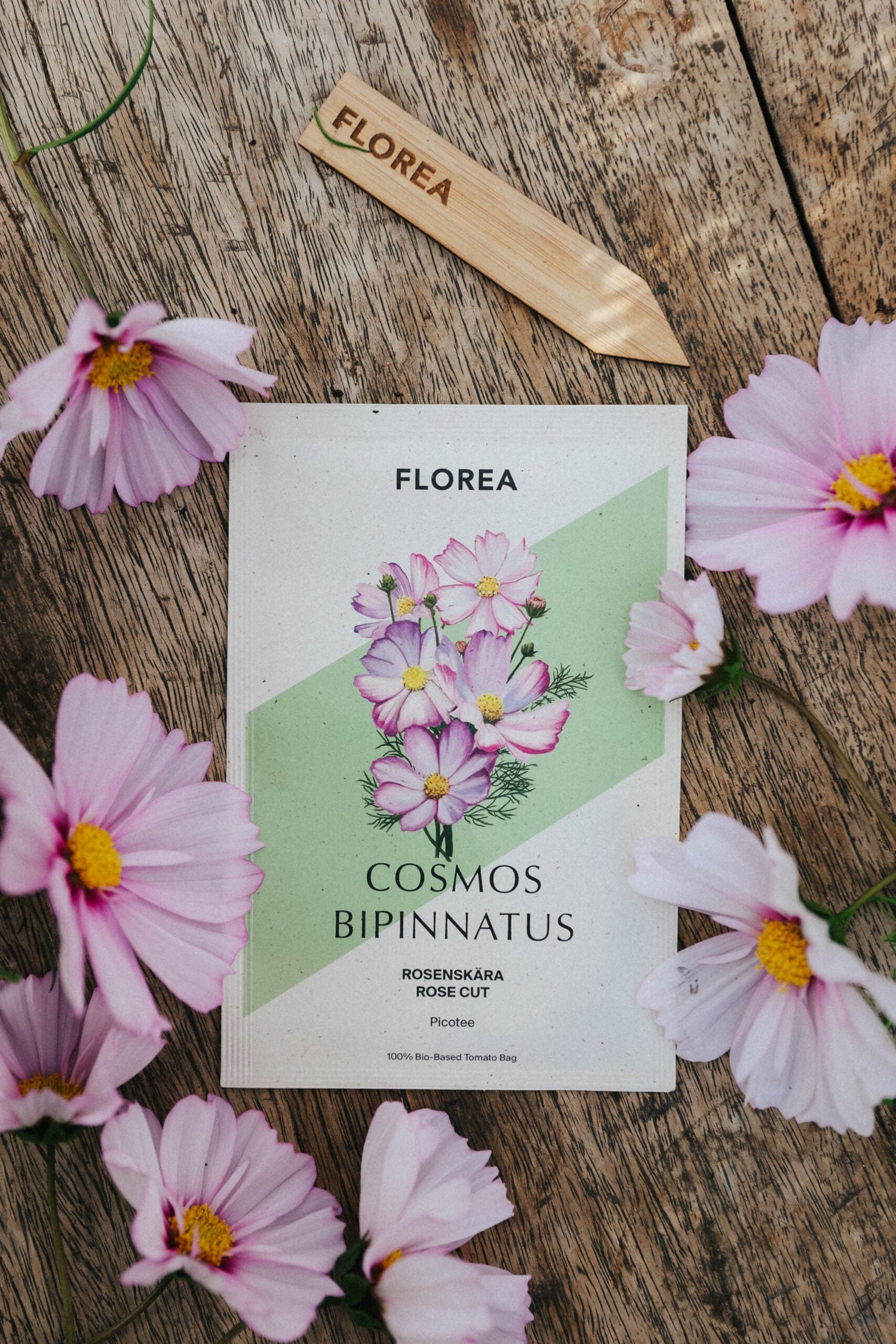 Schmuckkörbchen - Picotee