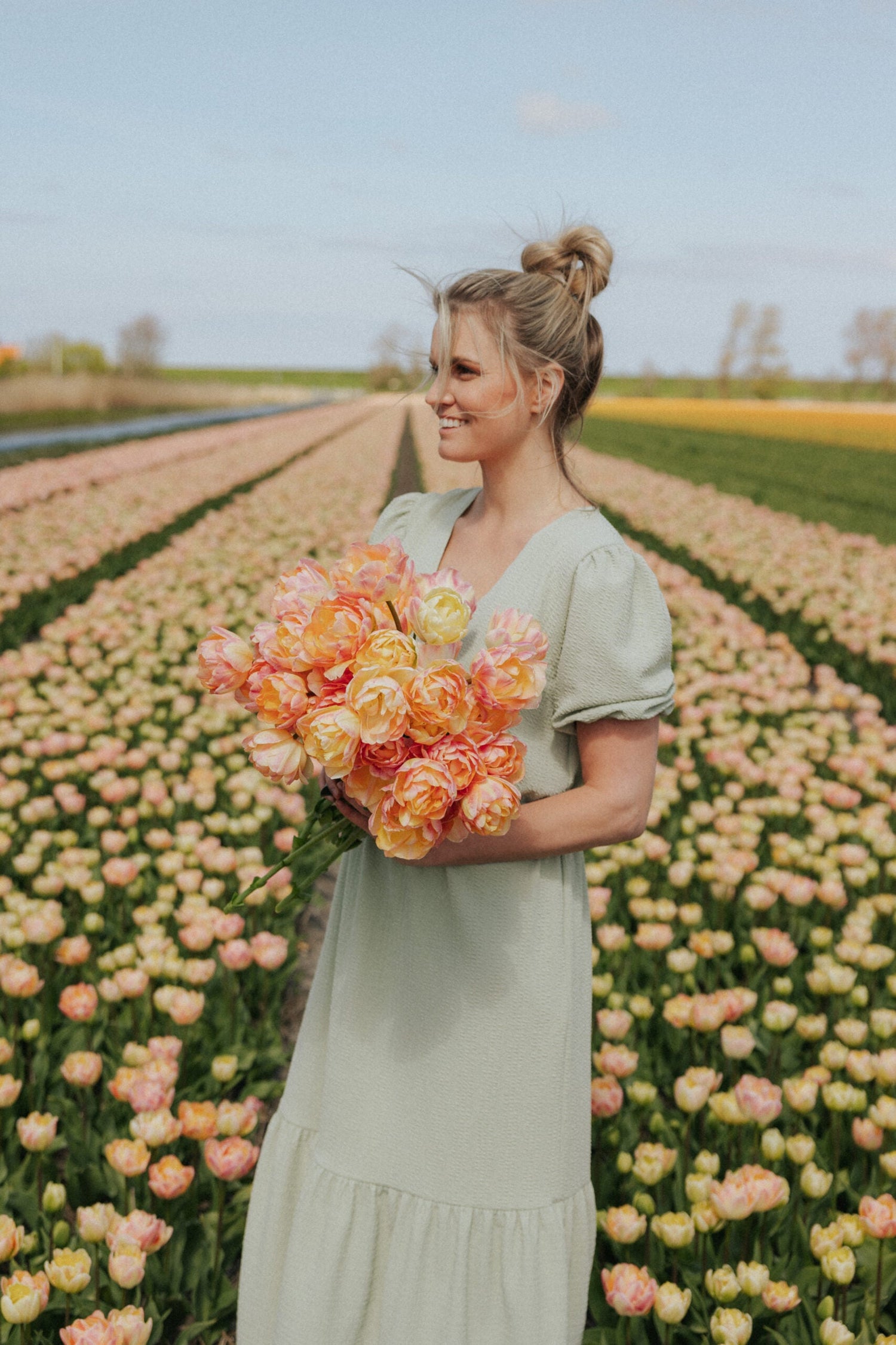 Tulip - Creme Upstar