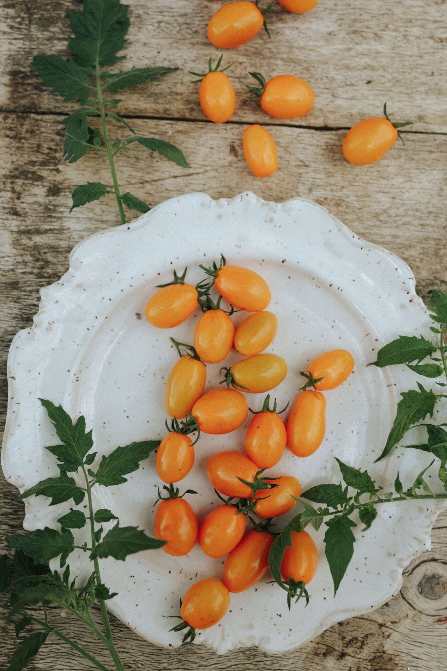 Cherry Tomato - Dattorange F1