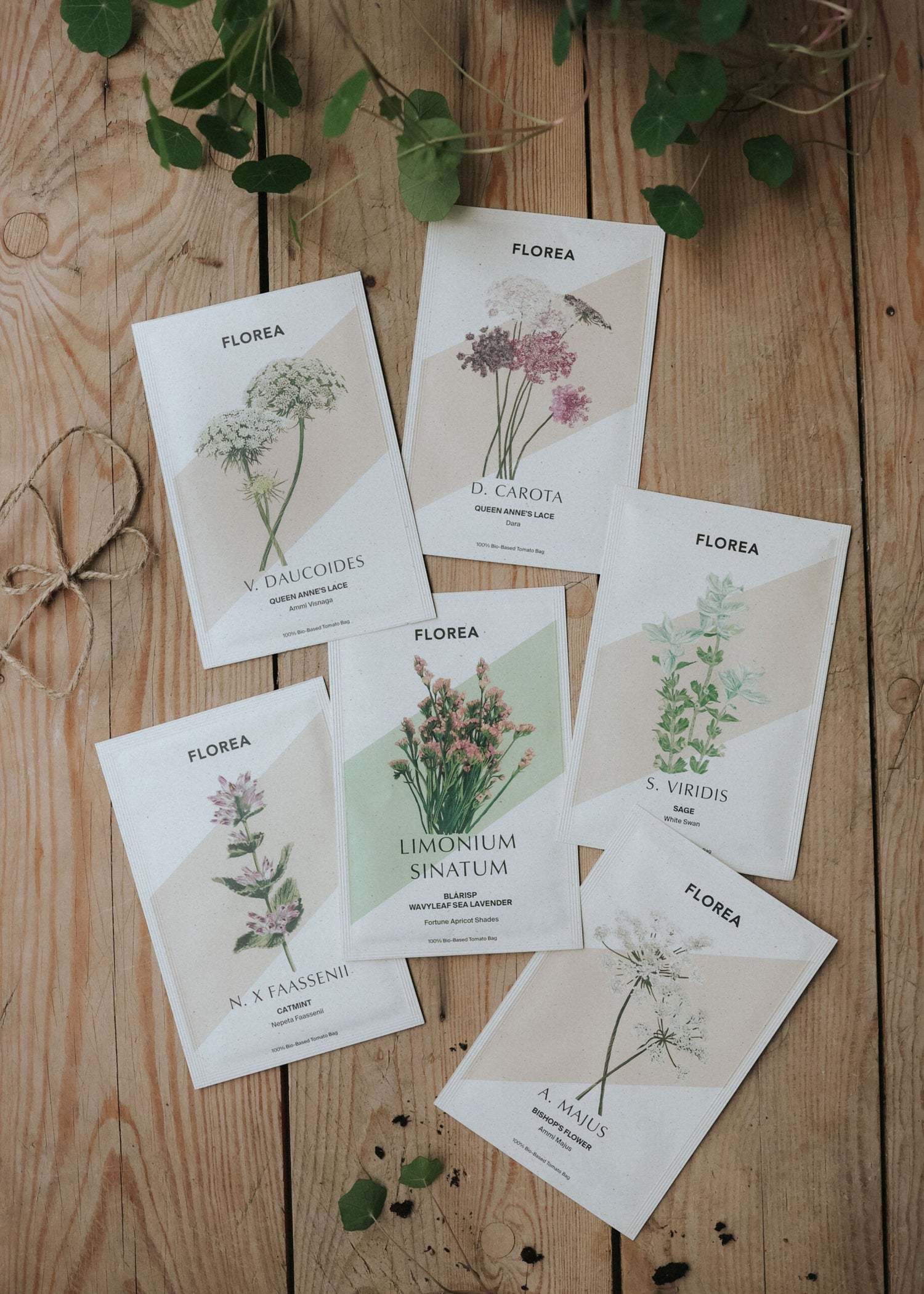 Seed kit - Bouquet Filling