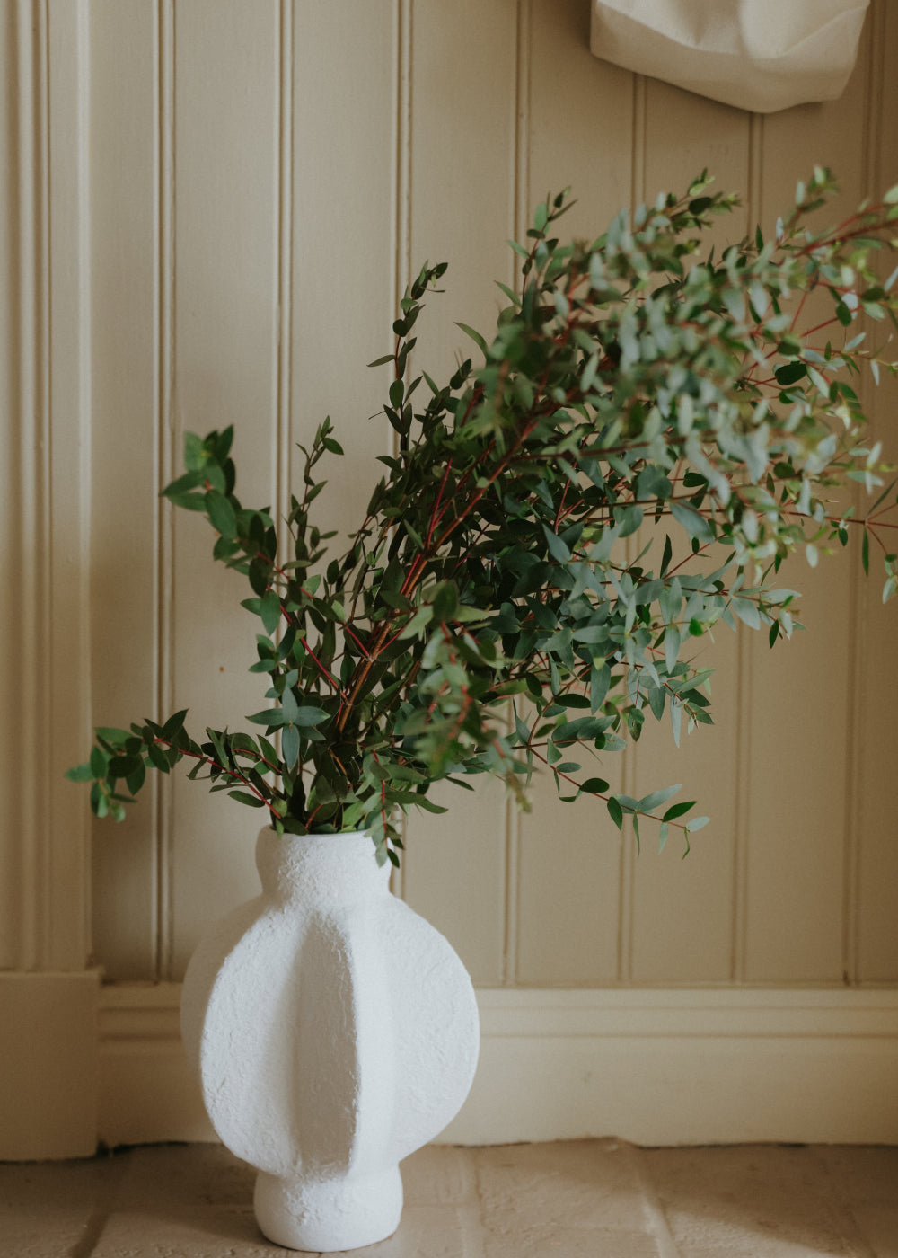 Eucalyptus - Boxwood