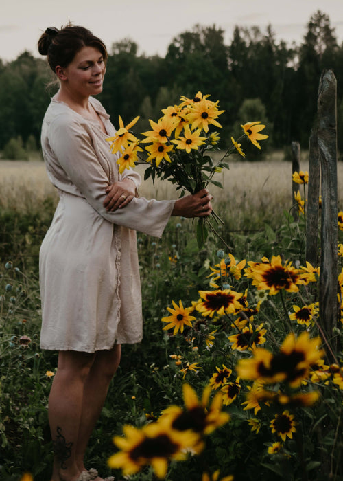 Coneflower - Gloriosa Daisies