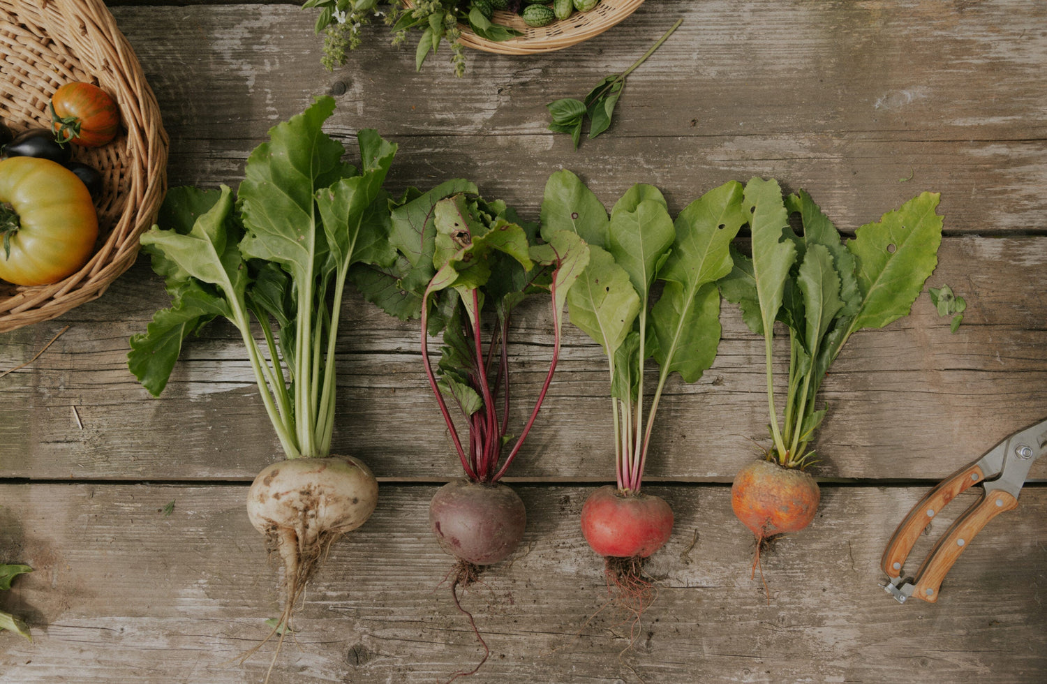 Beetroot - Hula Hoop