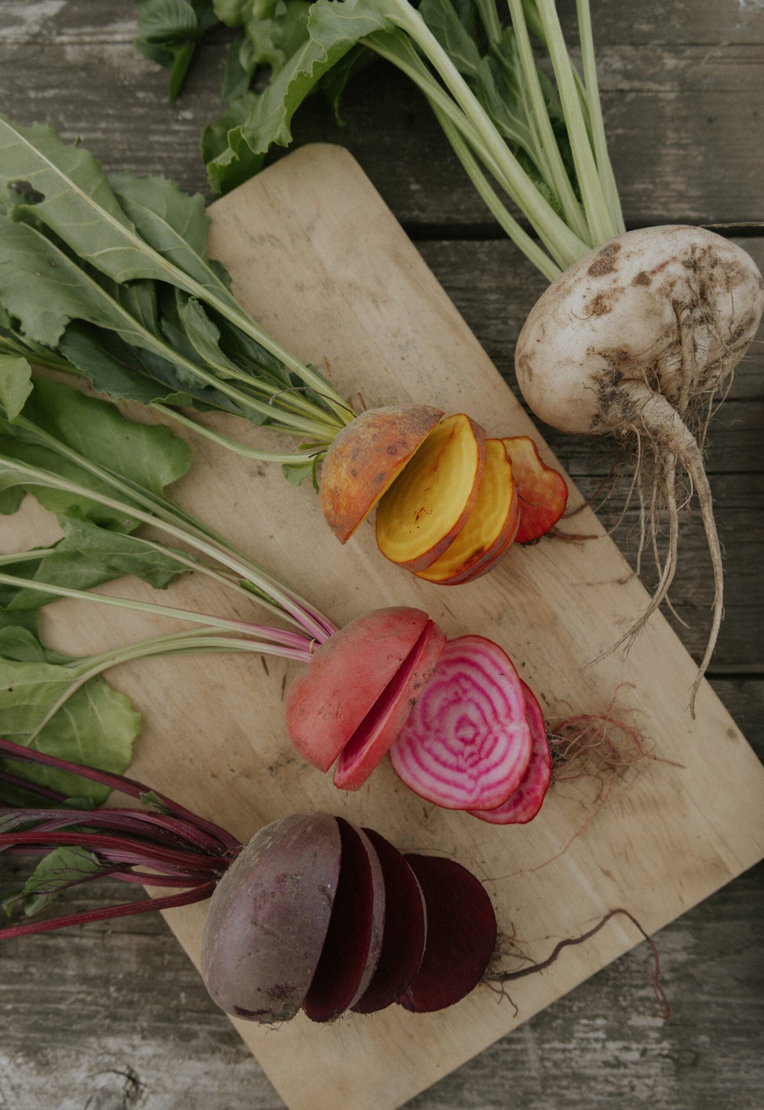 Beetroot - Hula Hoop