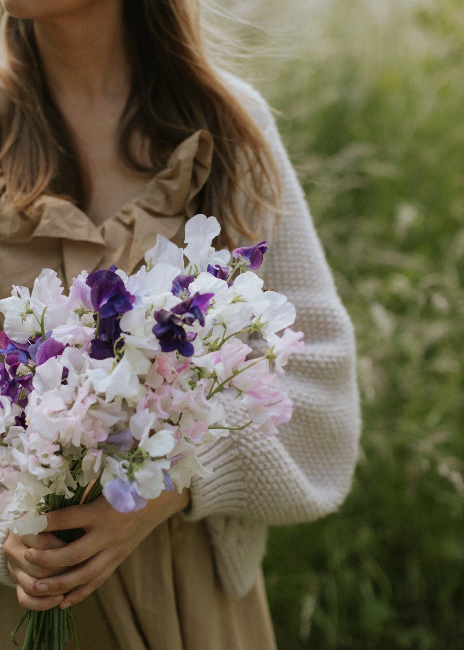 Sweet Peas - Bouquet Mix