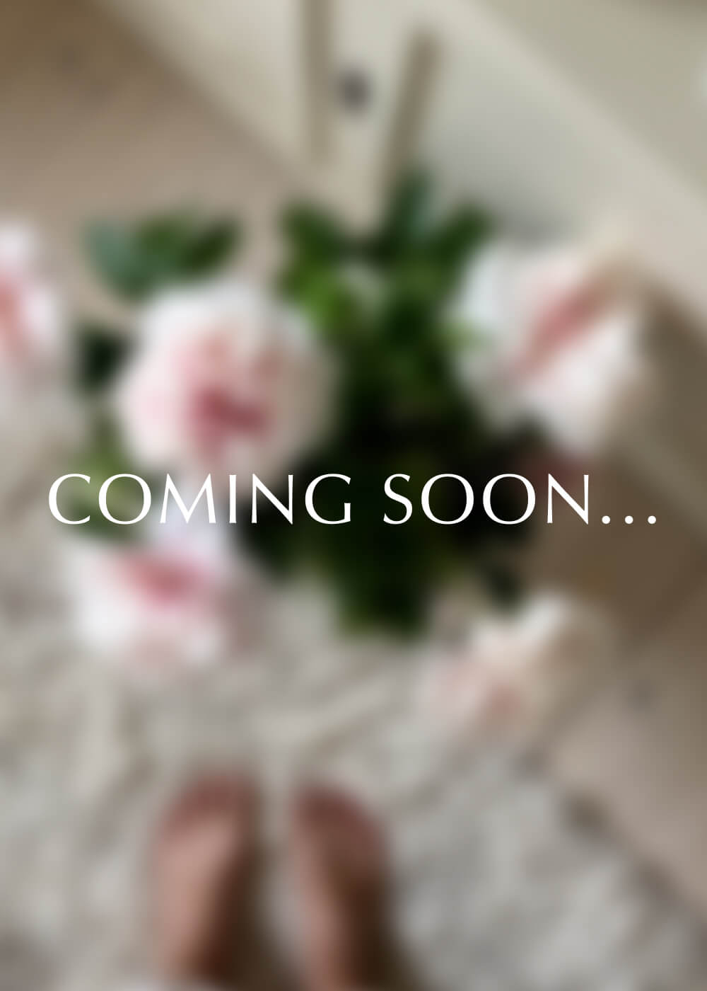 Pfingstrose - Bowl of Beauty