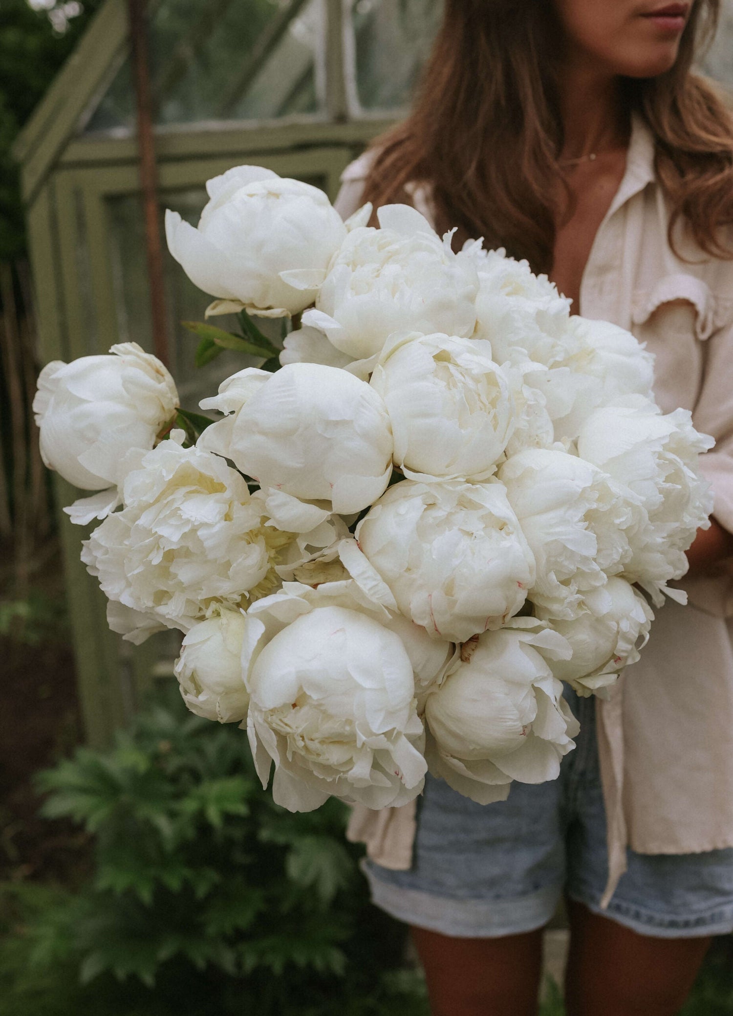 Peony - Fringed Ivory