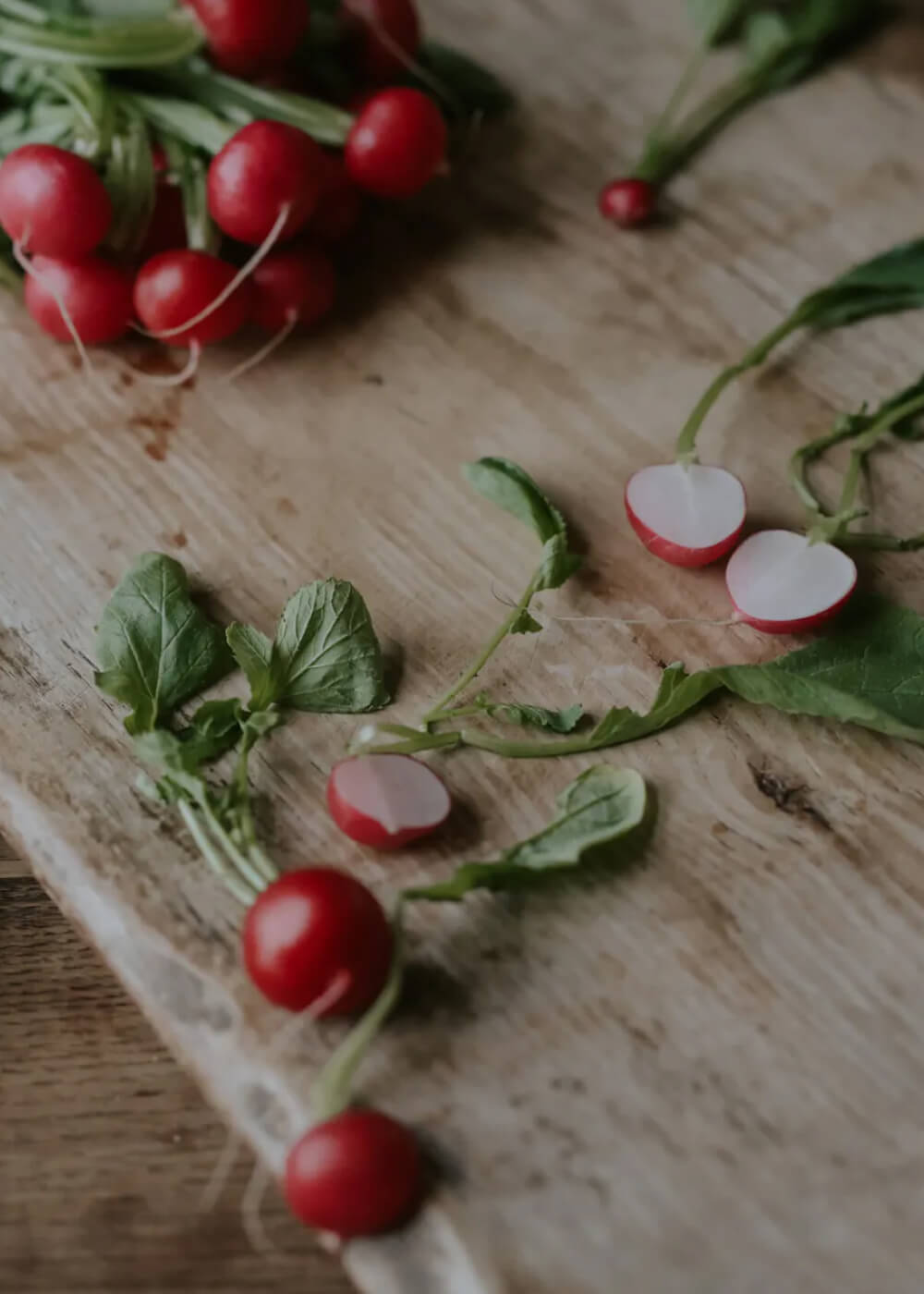 Rädisa - Saxa 2 EKO