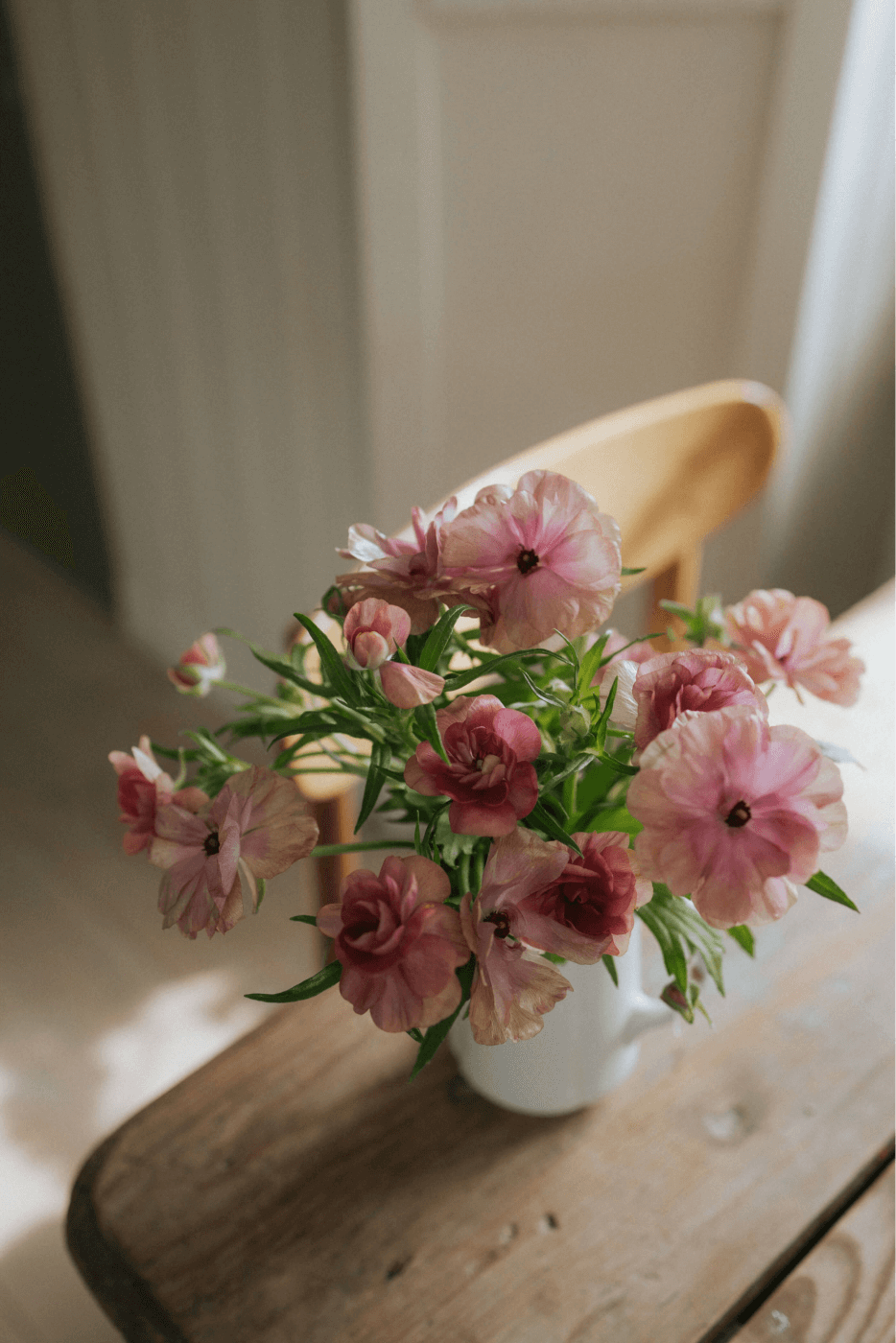 Butterfly Ranunculus - Musa