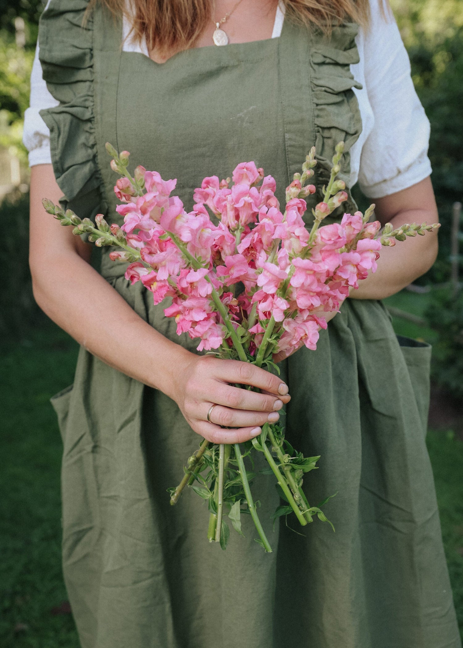 Snapdragon - The Rose