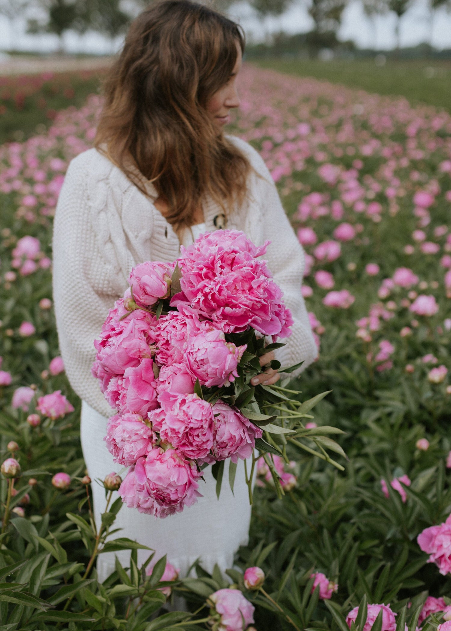 Pion - Alexander Fleming